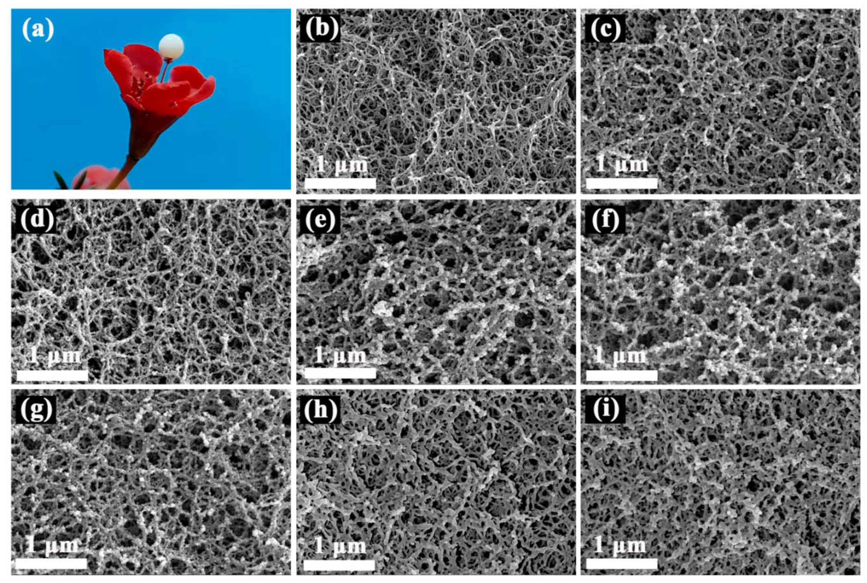 Gels 08 00165 g003 550