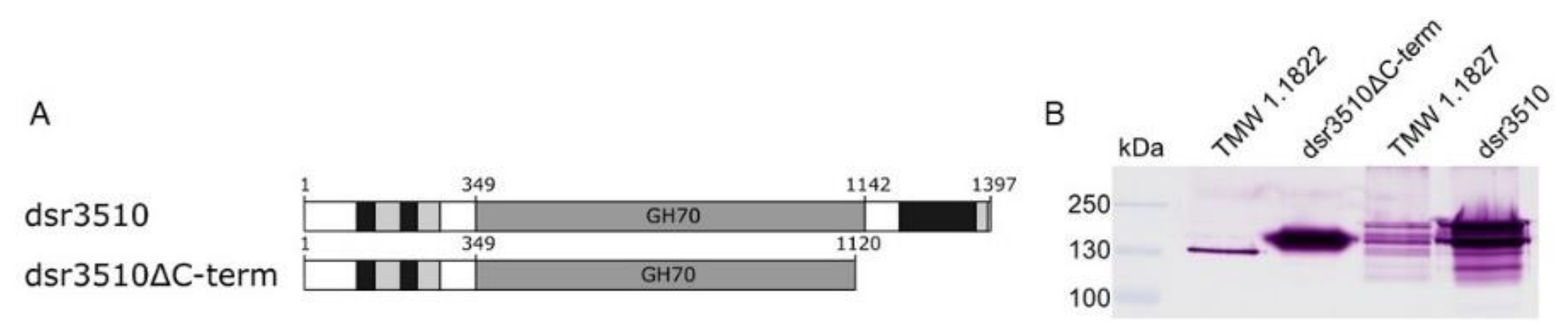 Gels 08 00171 g001 550