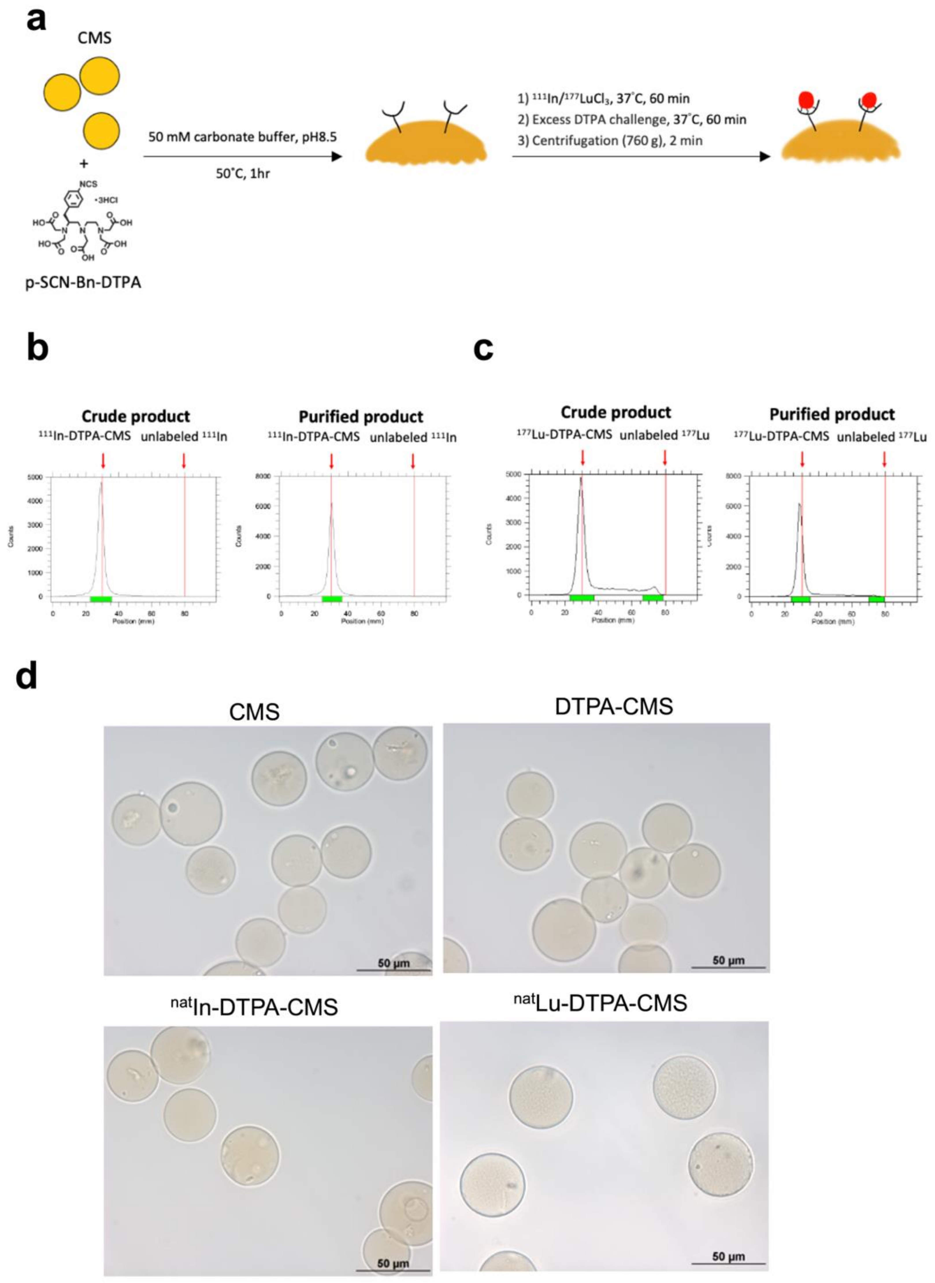 Gels 08 00180 g002 550