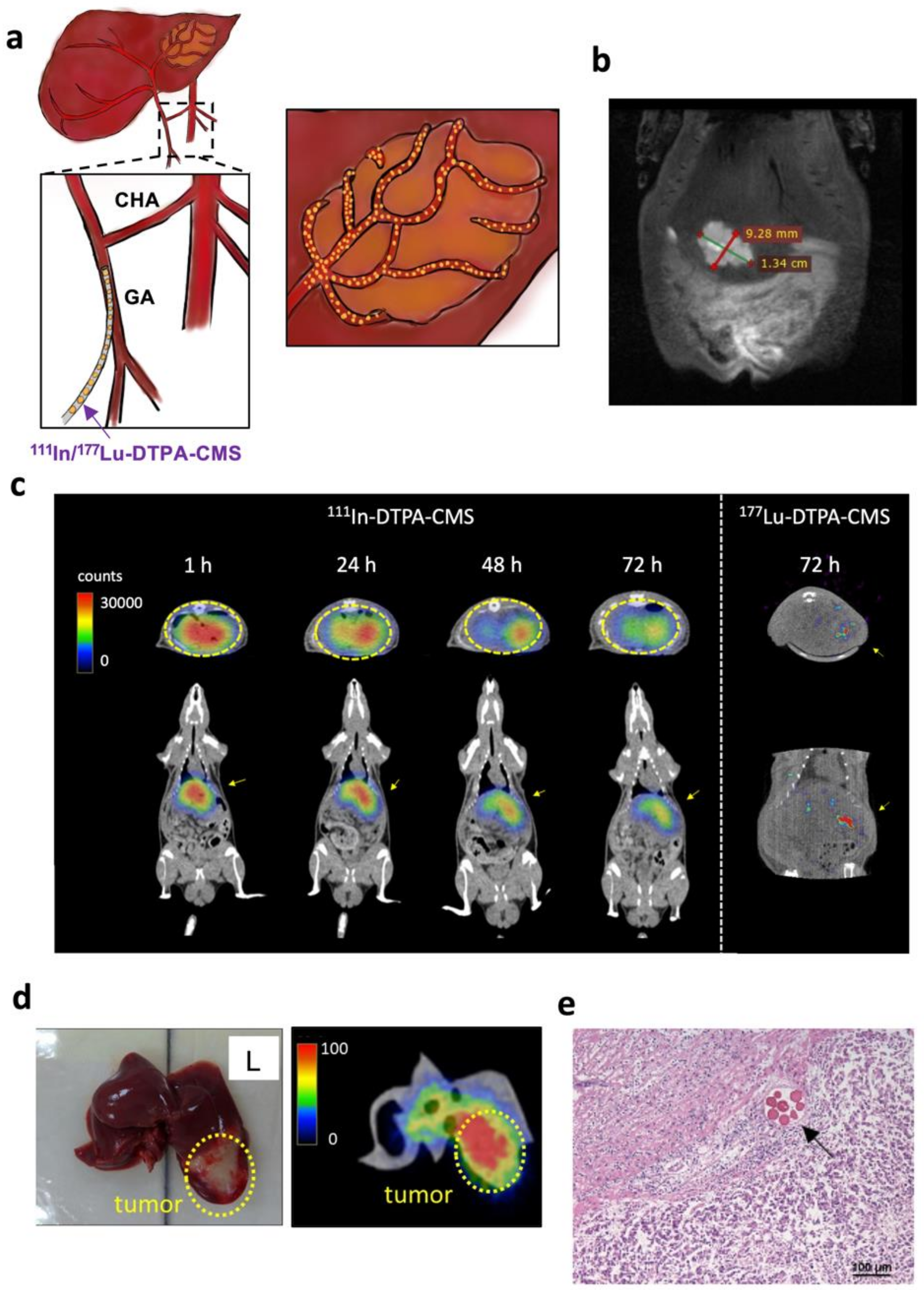 Gels 08 00180 g004 550