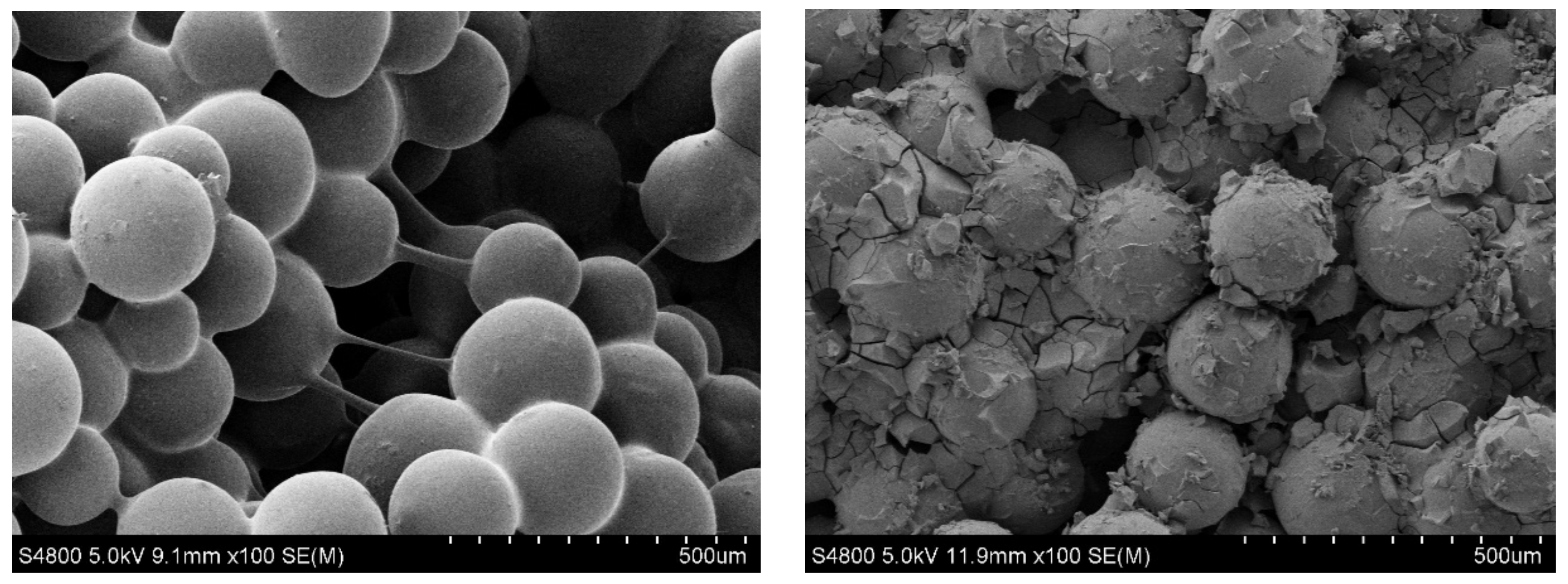 Gels 08 00185 g004 550