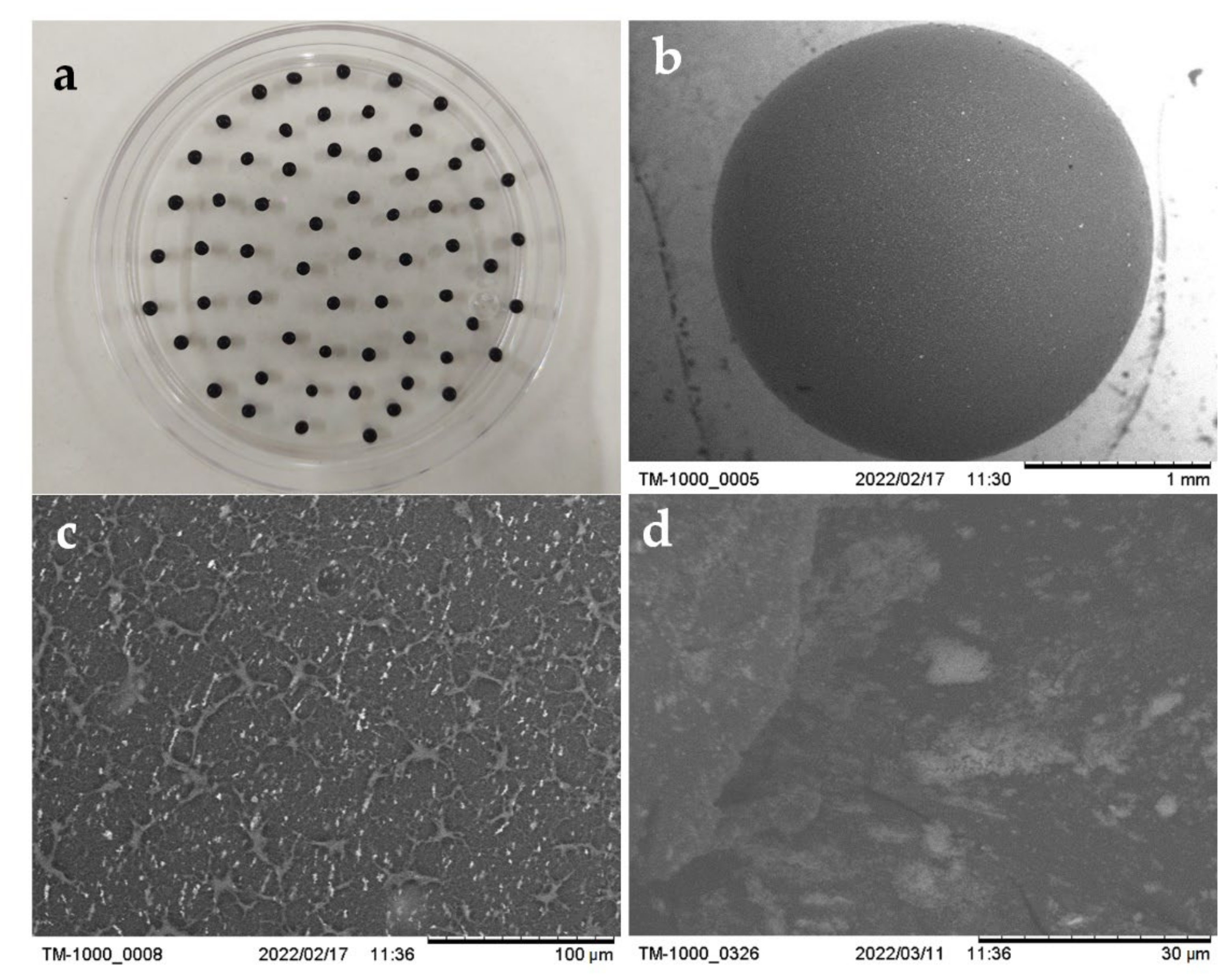 Gels 08 00186 g002 550