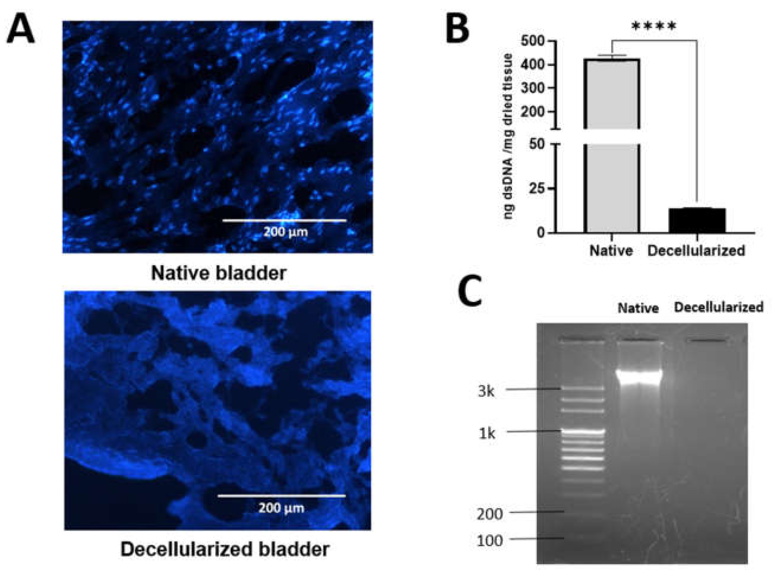 Gels 08 00187 g001 550