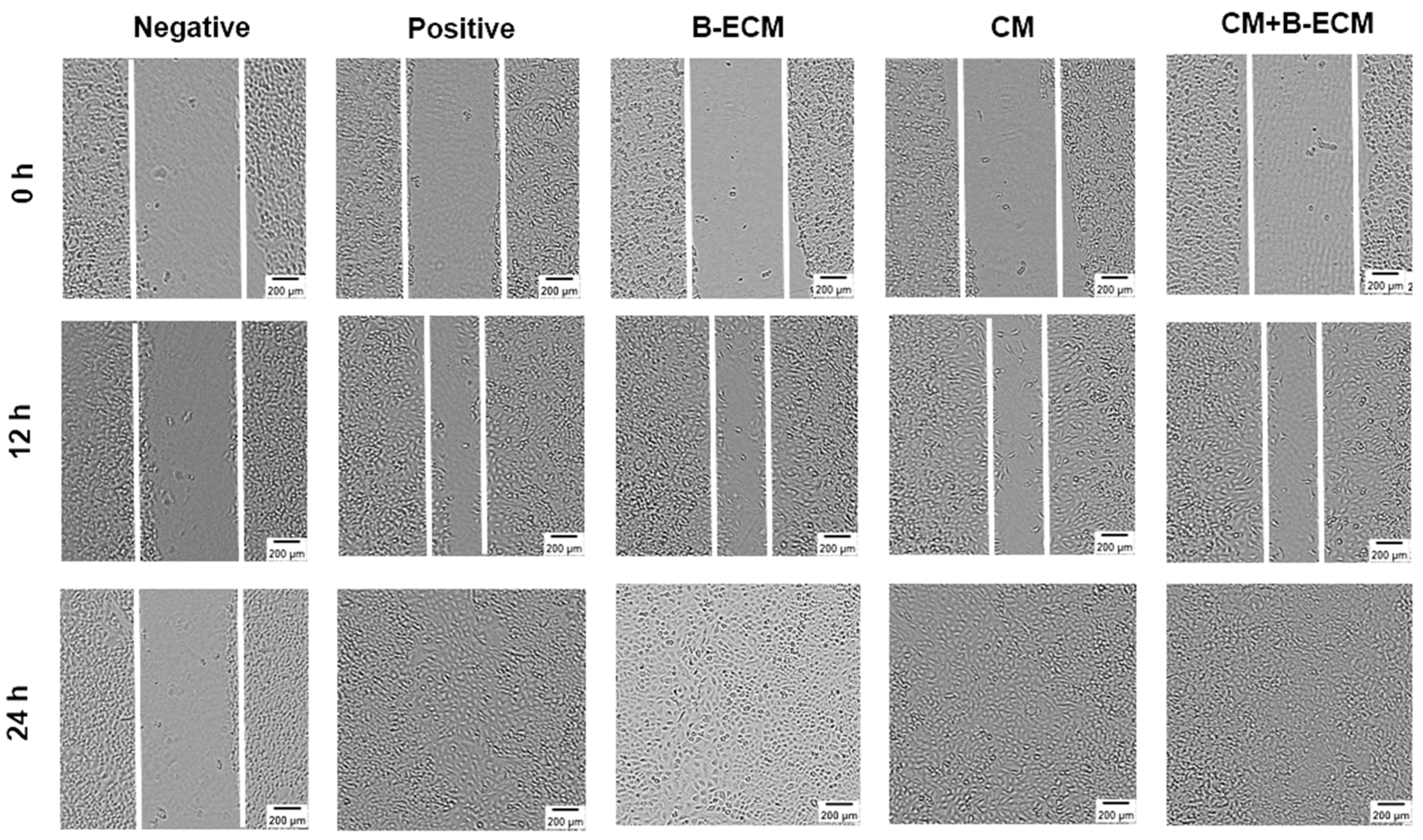 Gels 08 00187 g008 550