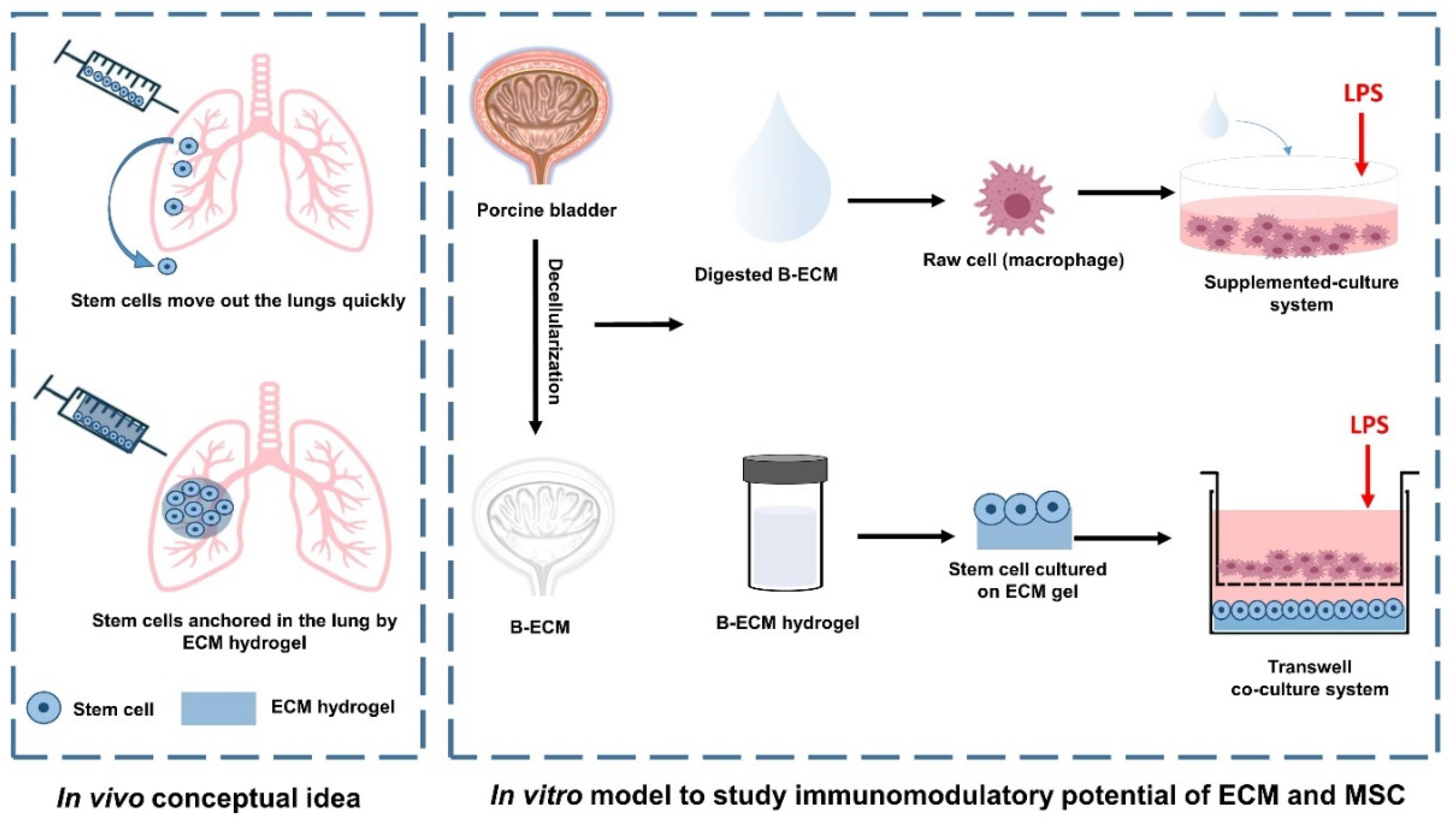 Gels 08 00187 sch001 550