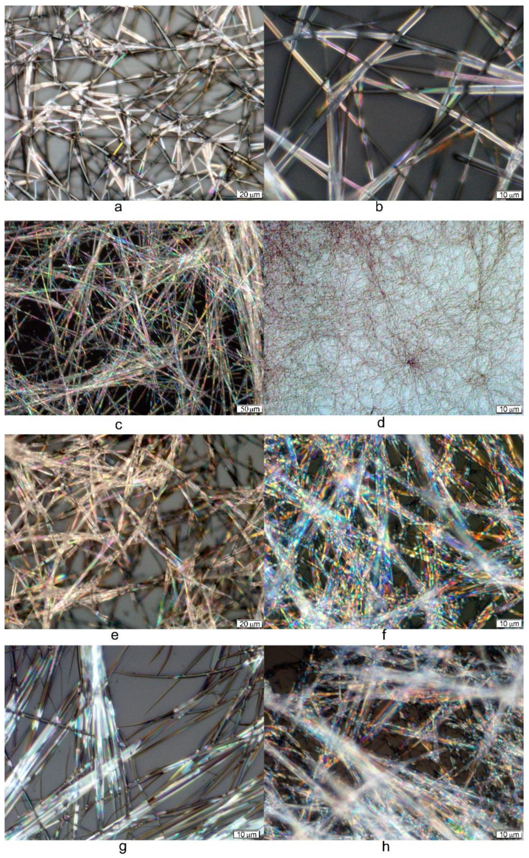 Gels 08 00191 g005 550