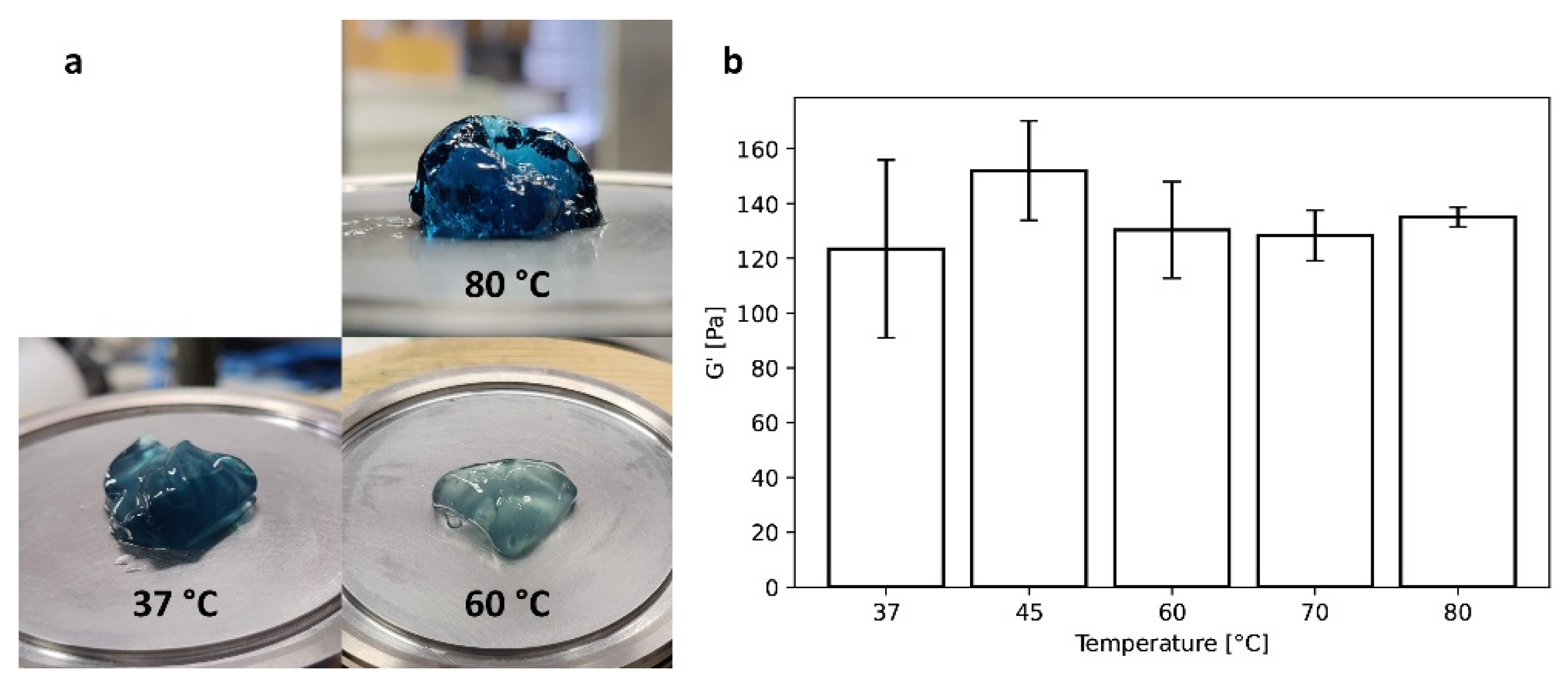 Gels 08 00194 g004 550