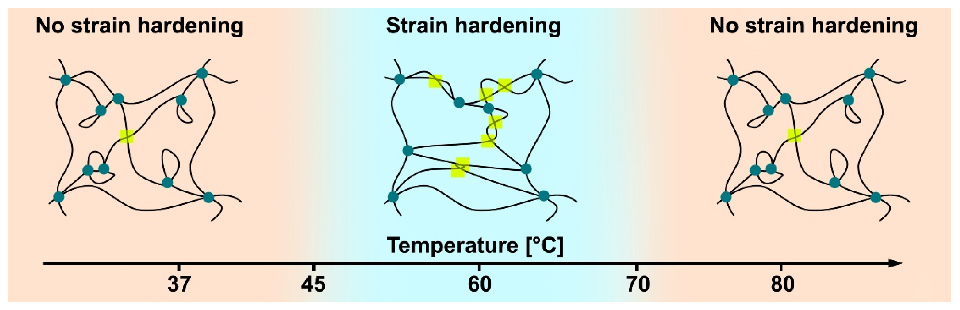 Gels 08 00194 sch001 550