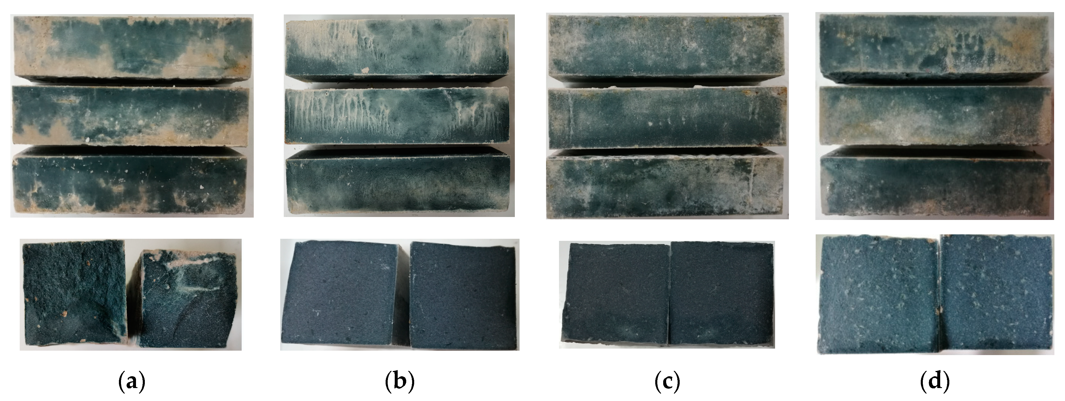 Gels 08 00195 g002 550