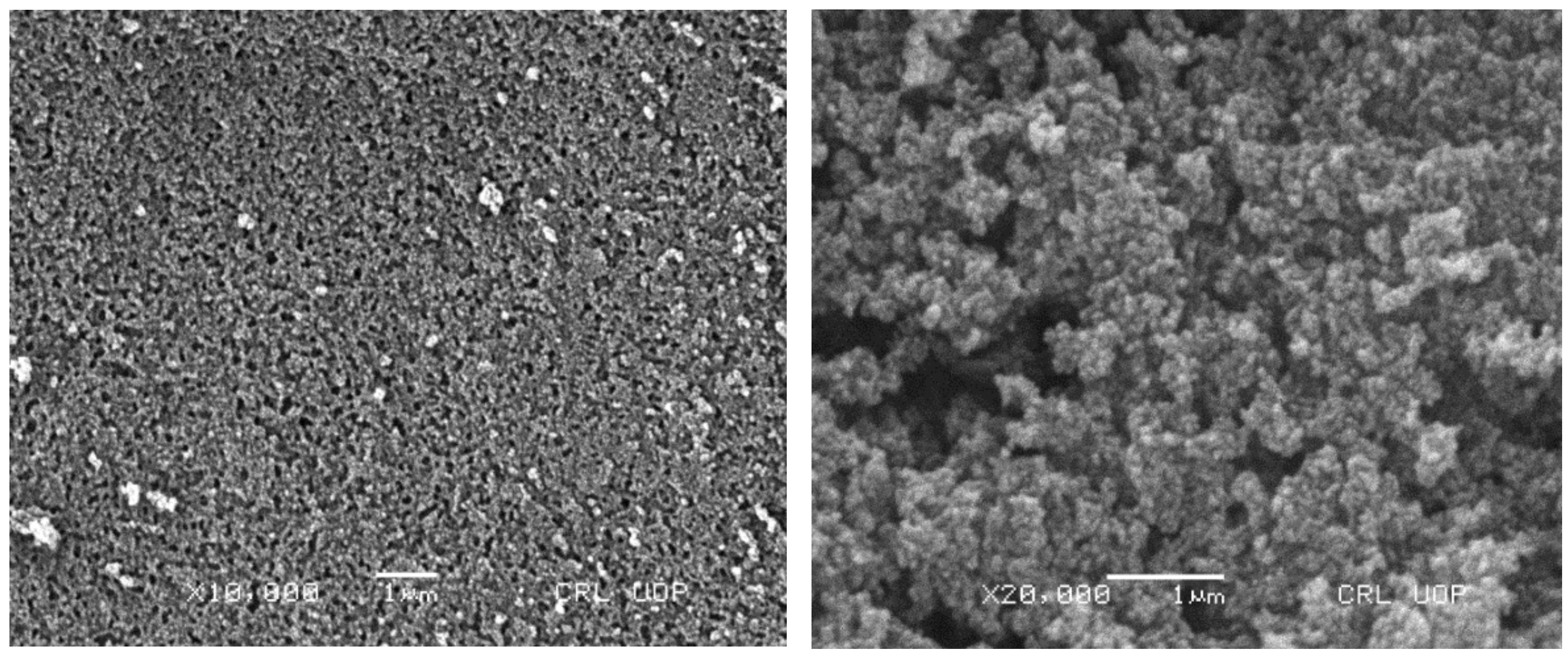 Gels 08 00196 g003 Gels 08 00196 g003