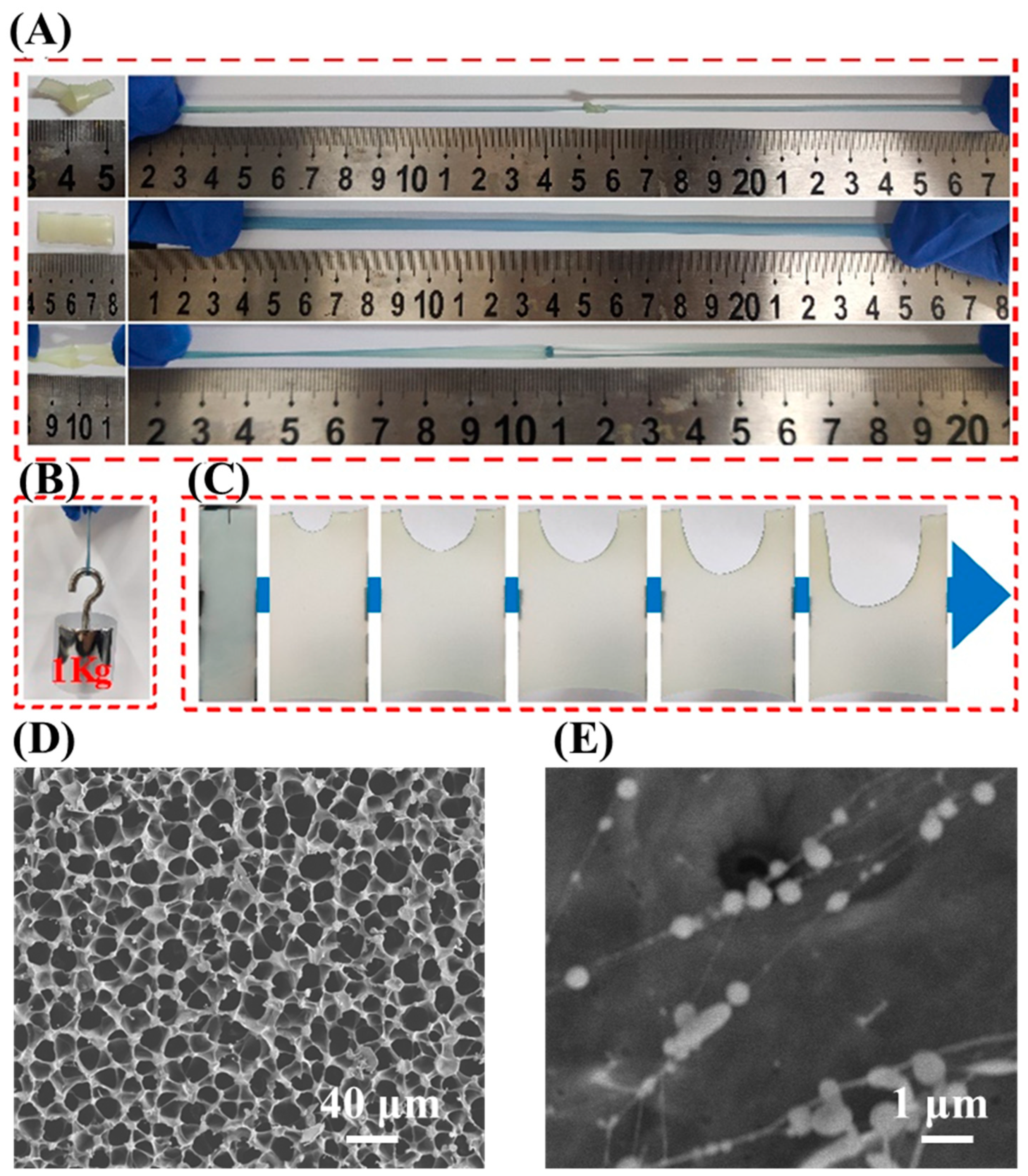 Gels 08 00208 g002 550