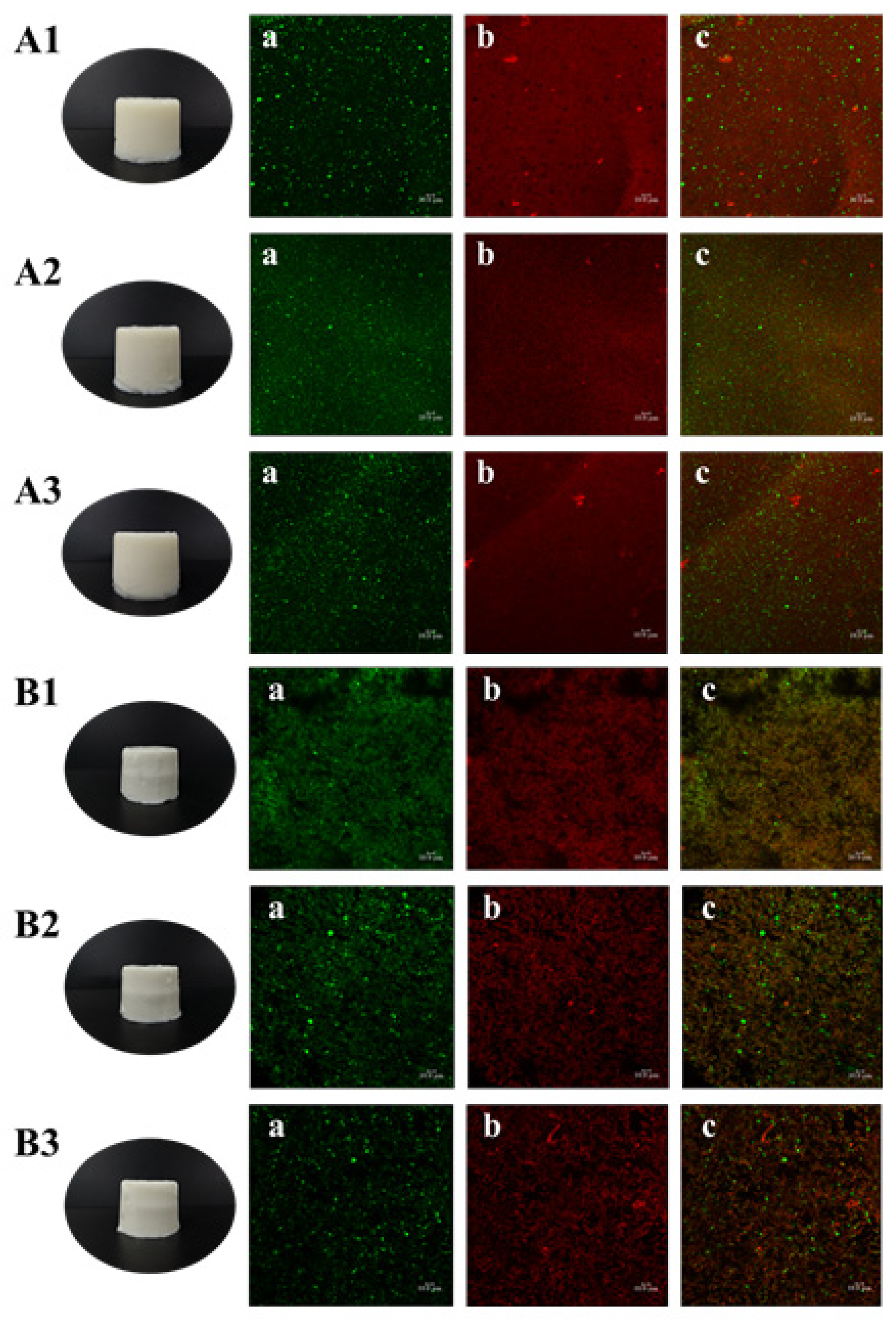 Gels 08 00212 g004 550