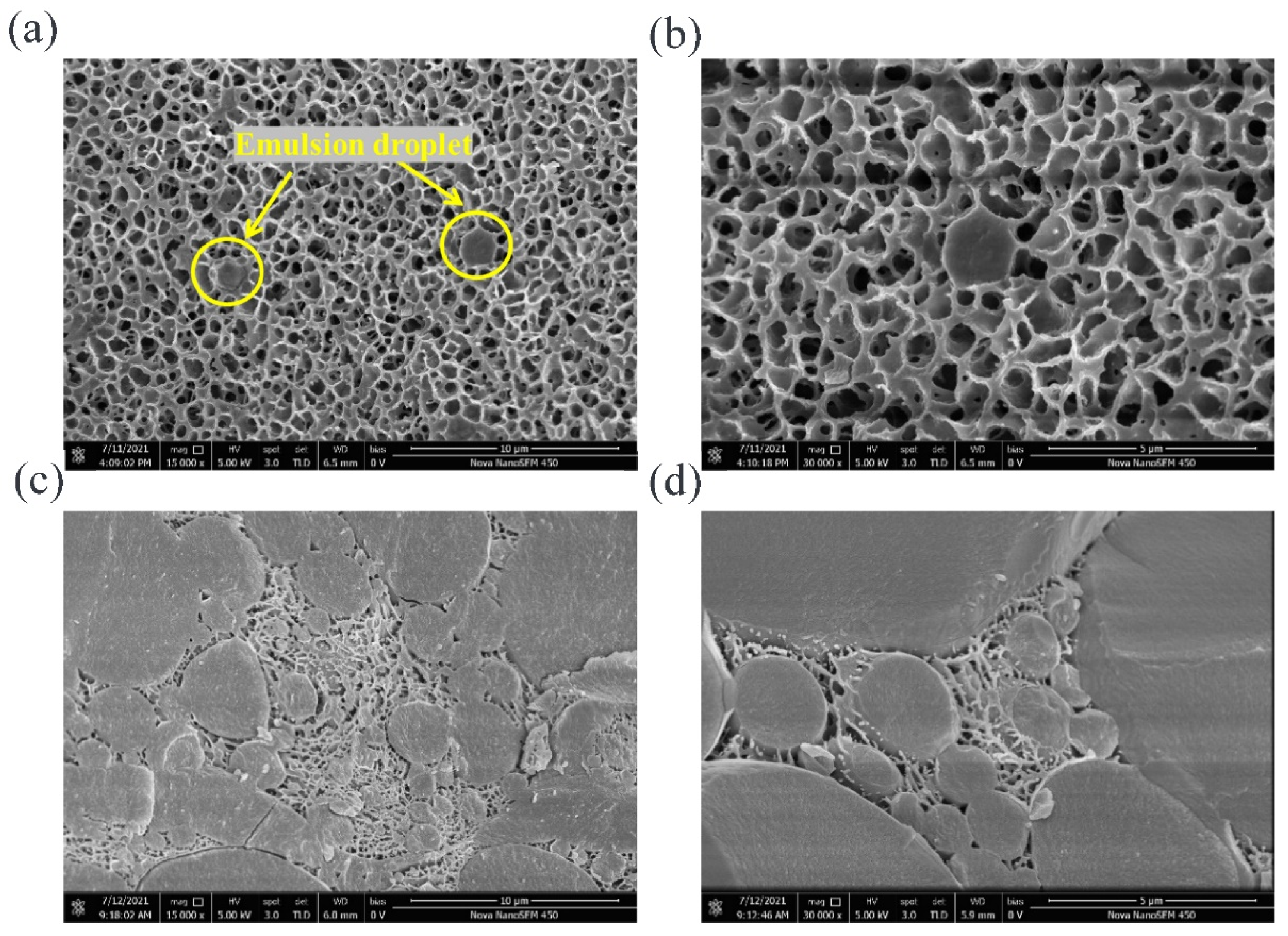 Gels 08 00212 g005 550