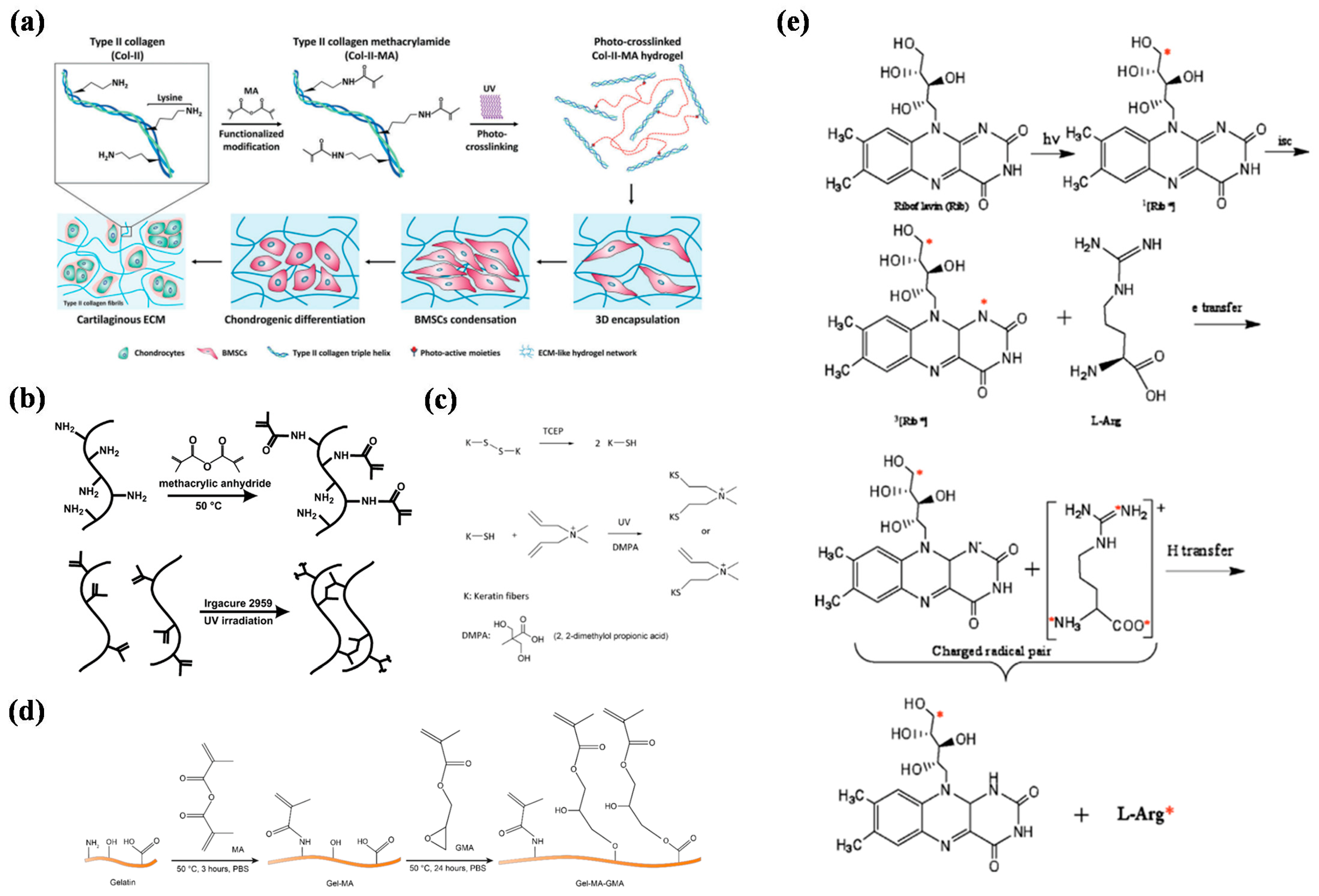 Gels 08 00216 g003 550