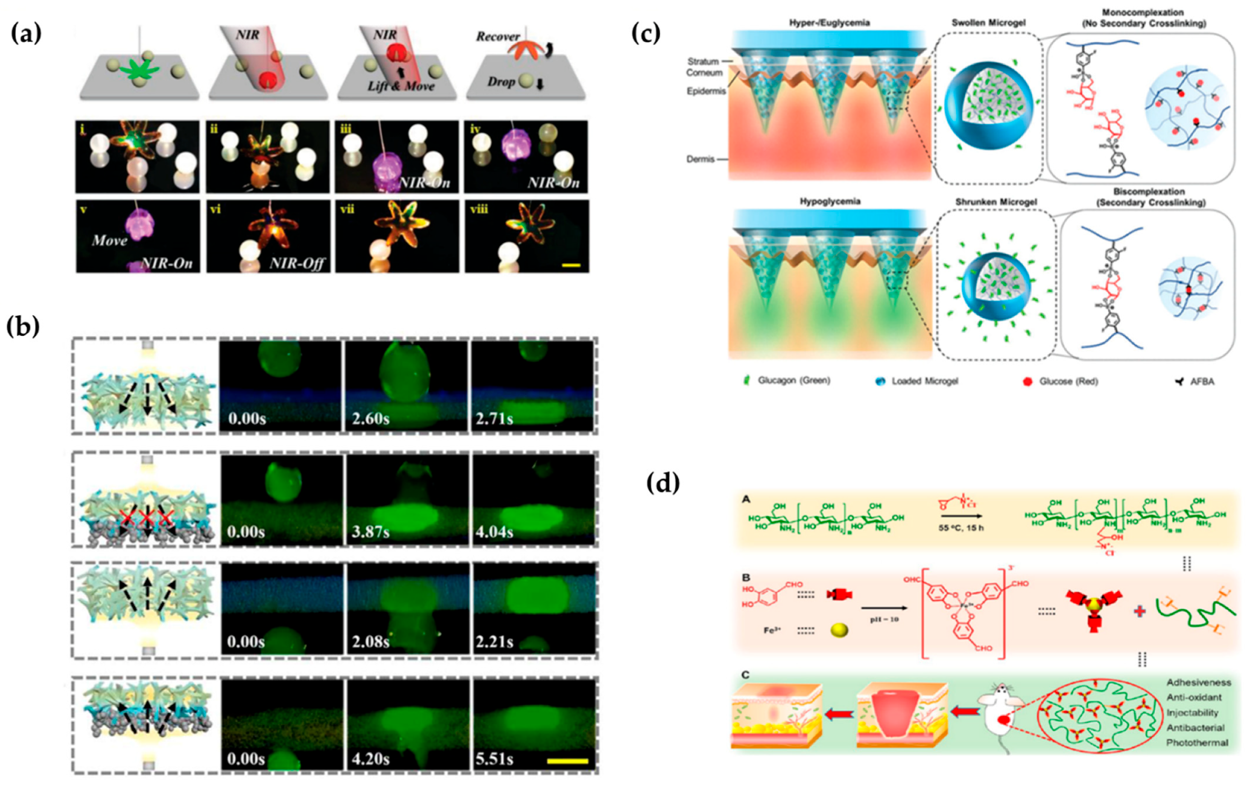 Gels 08 00216 g005 550