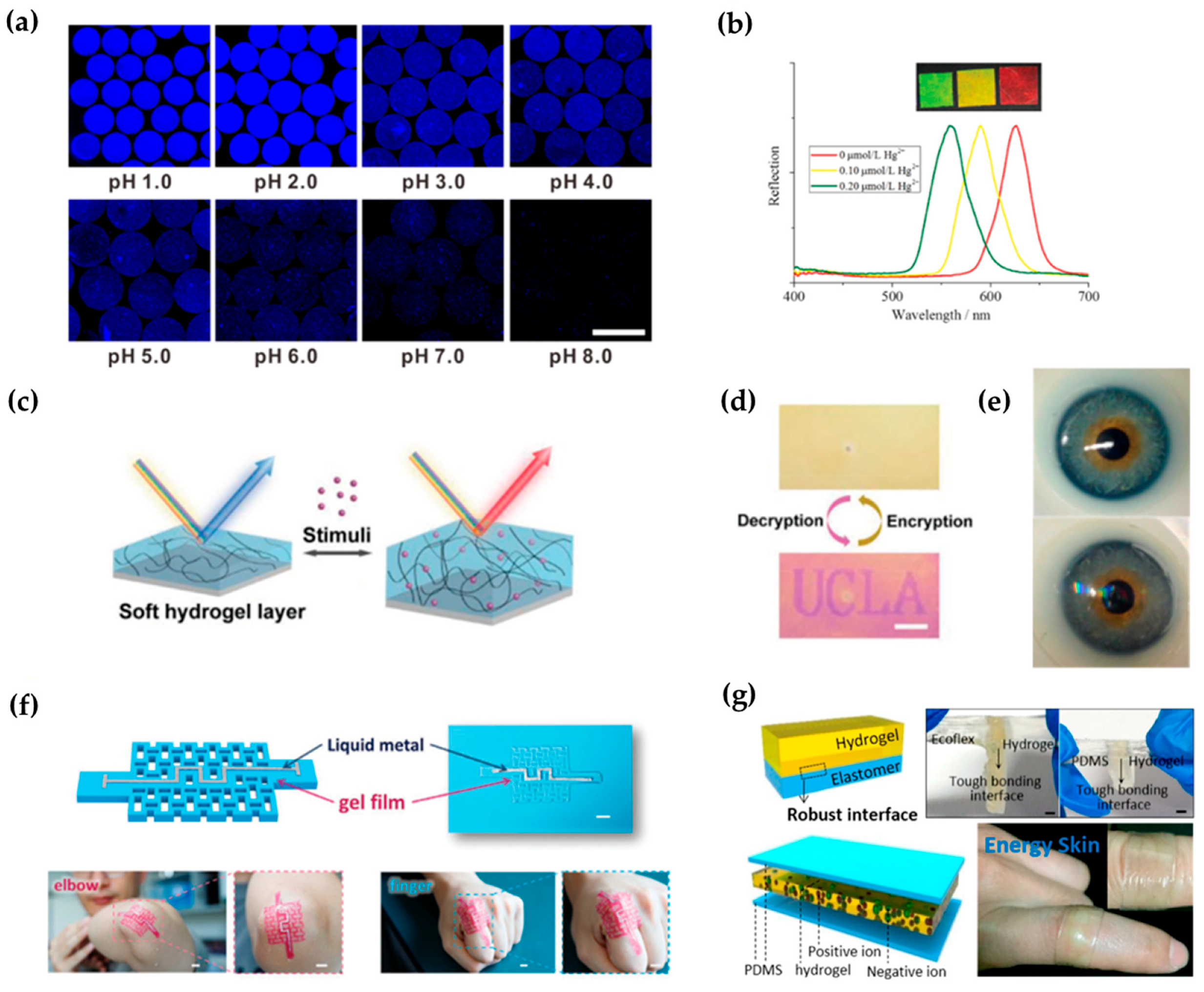 Gels 08 00216 g006 550