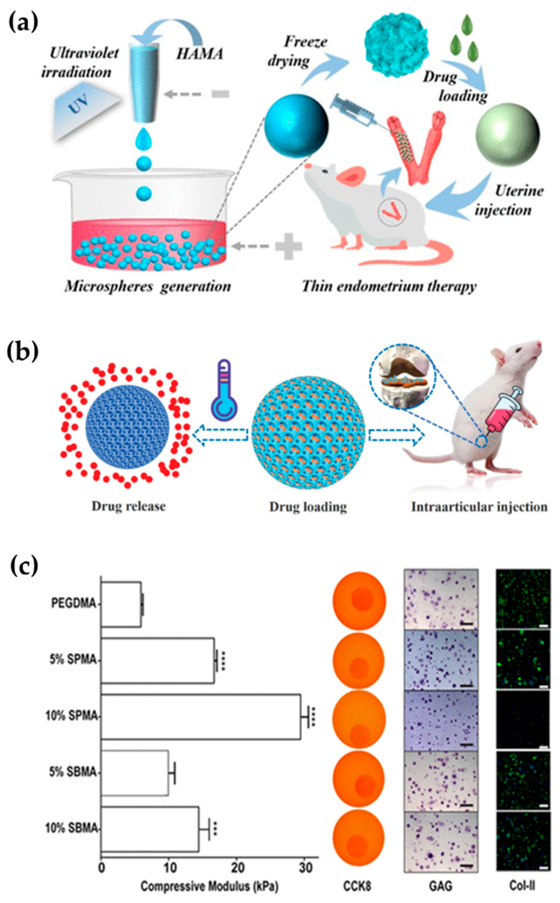 Gels 08 00216 g007 550
