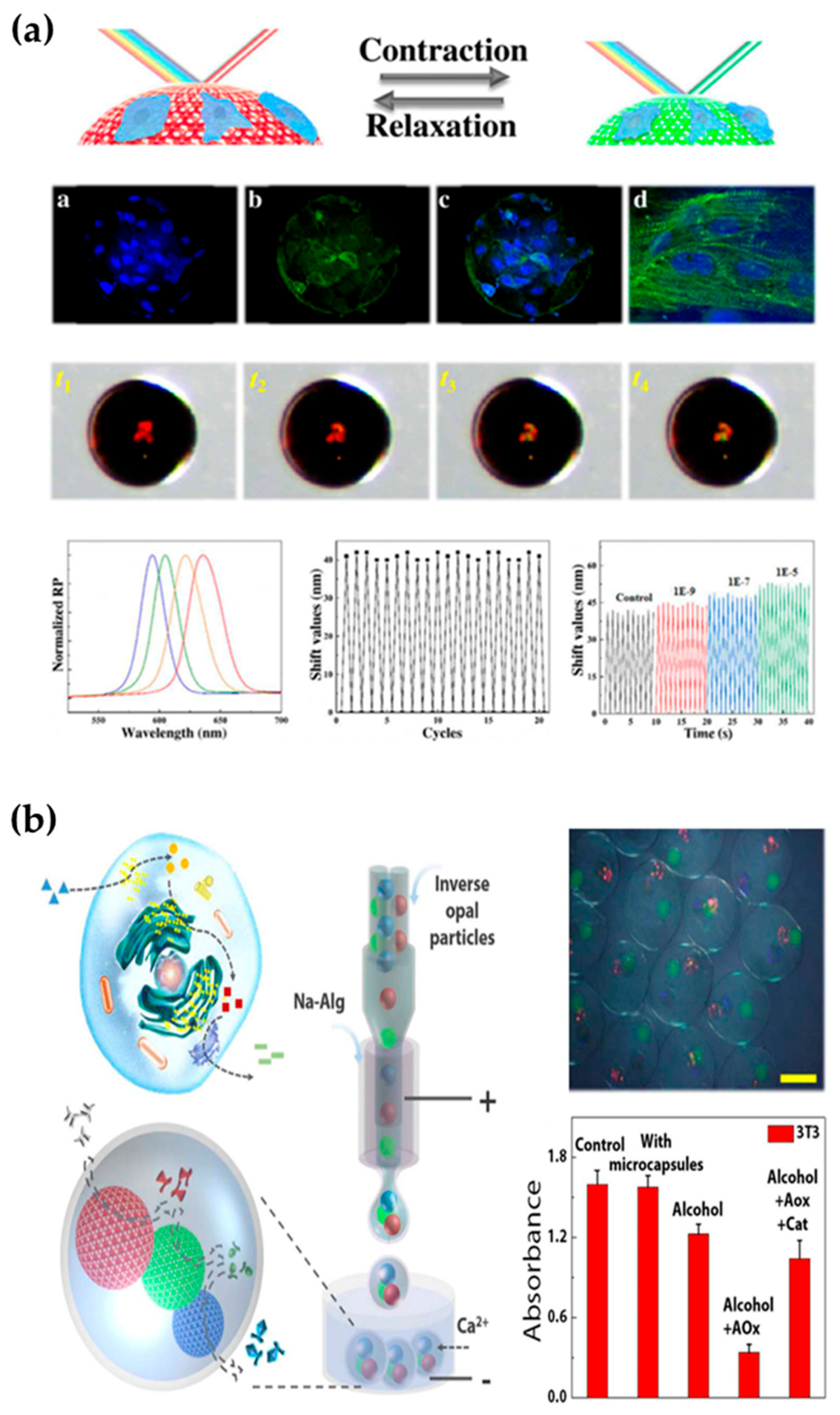 Gels 08 00216 g008 550