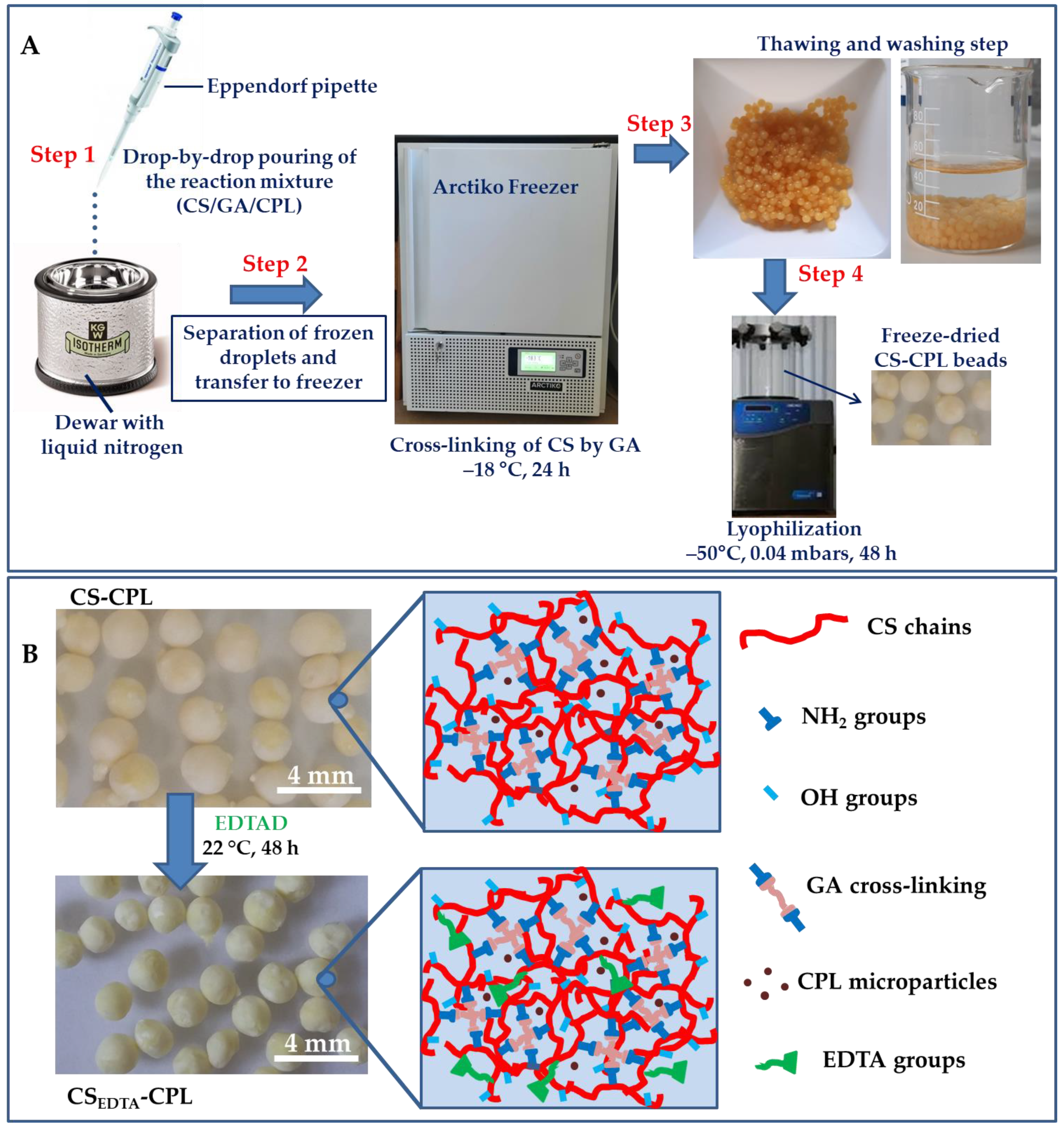 Gels 08 00221 g002 550
