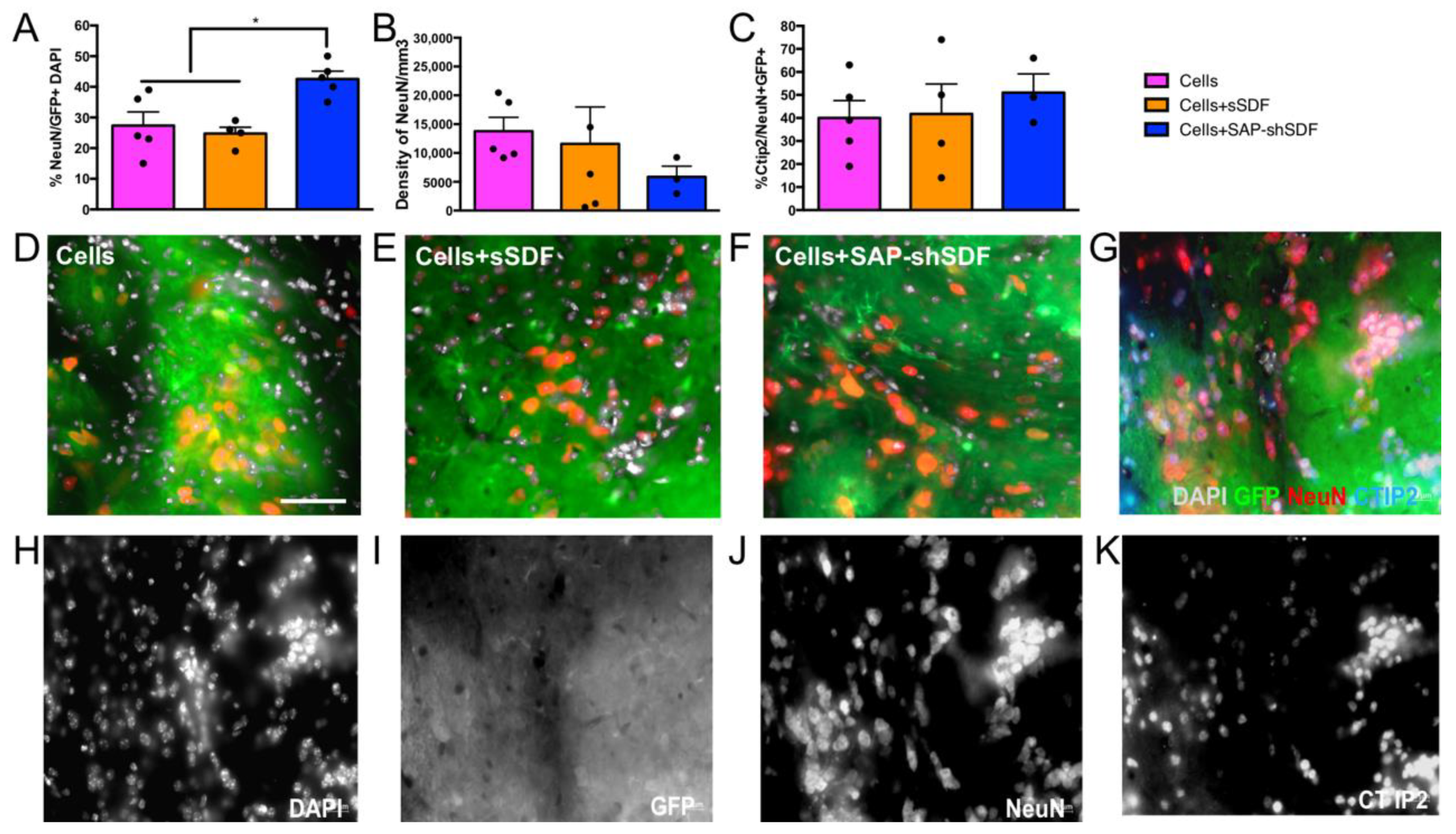 Gels 08 00224 g004 550