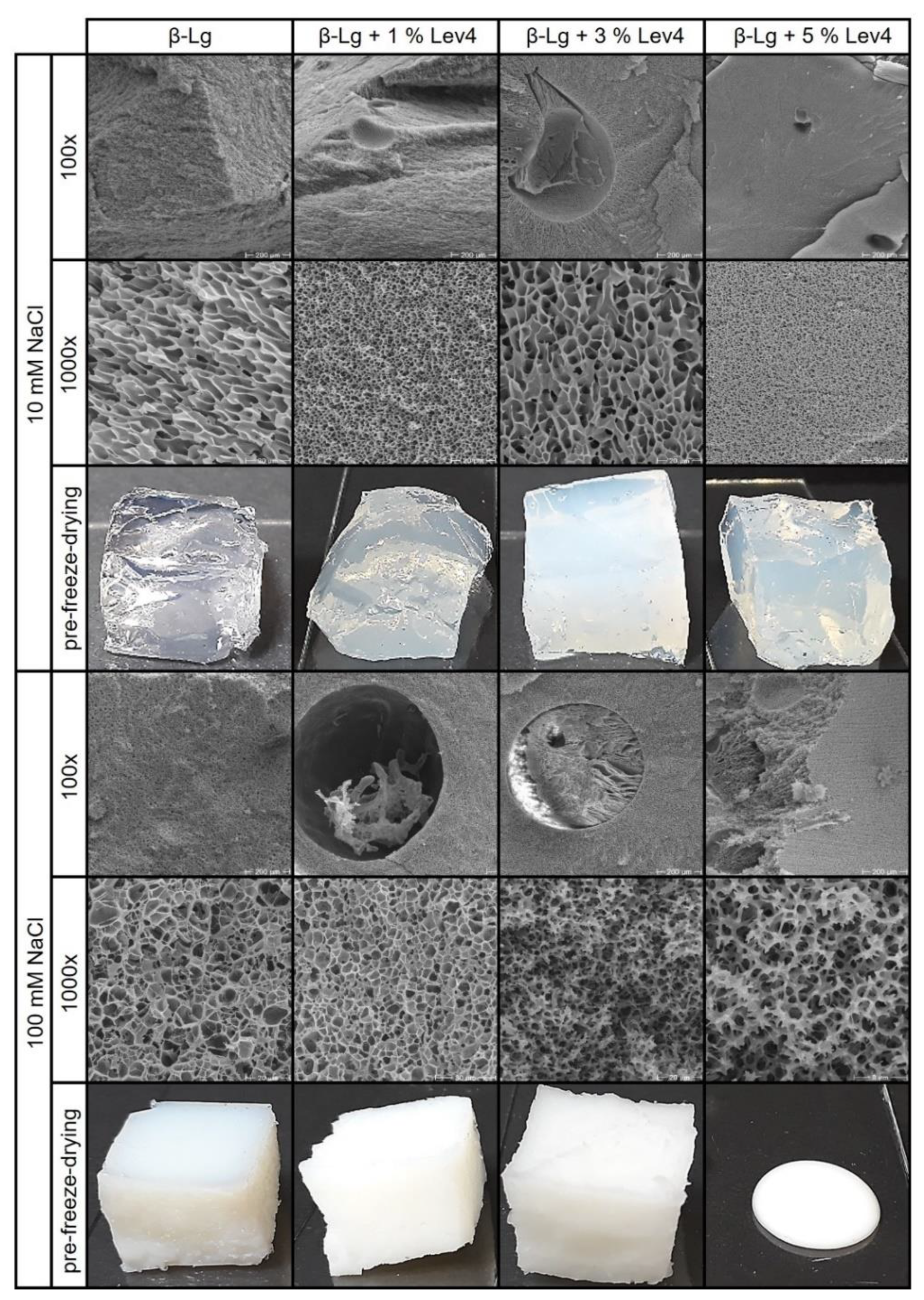 Gels 08 00228 g005 550