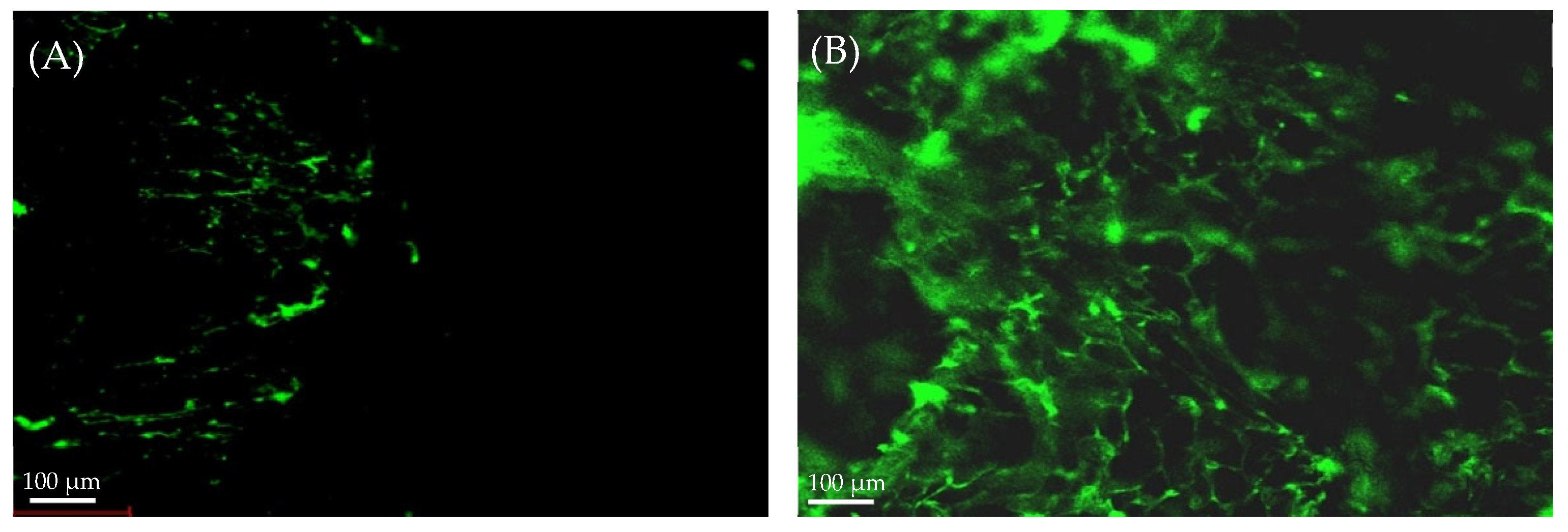Gels 08 00235 g005 550