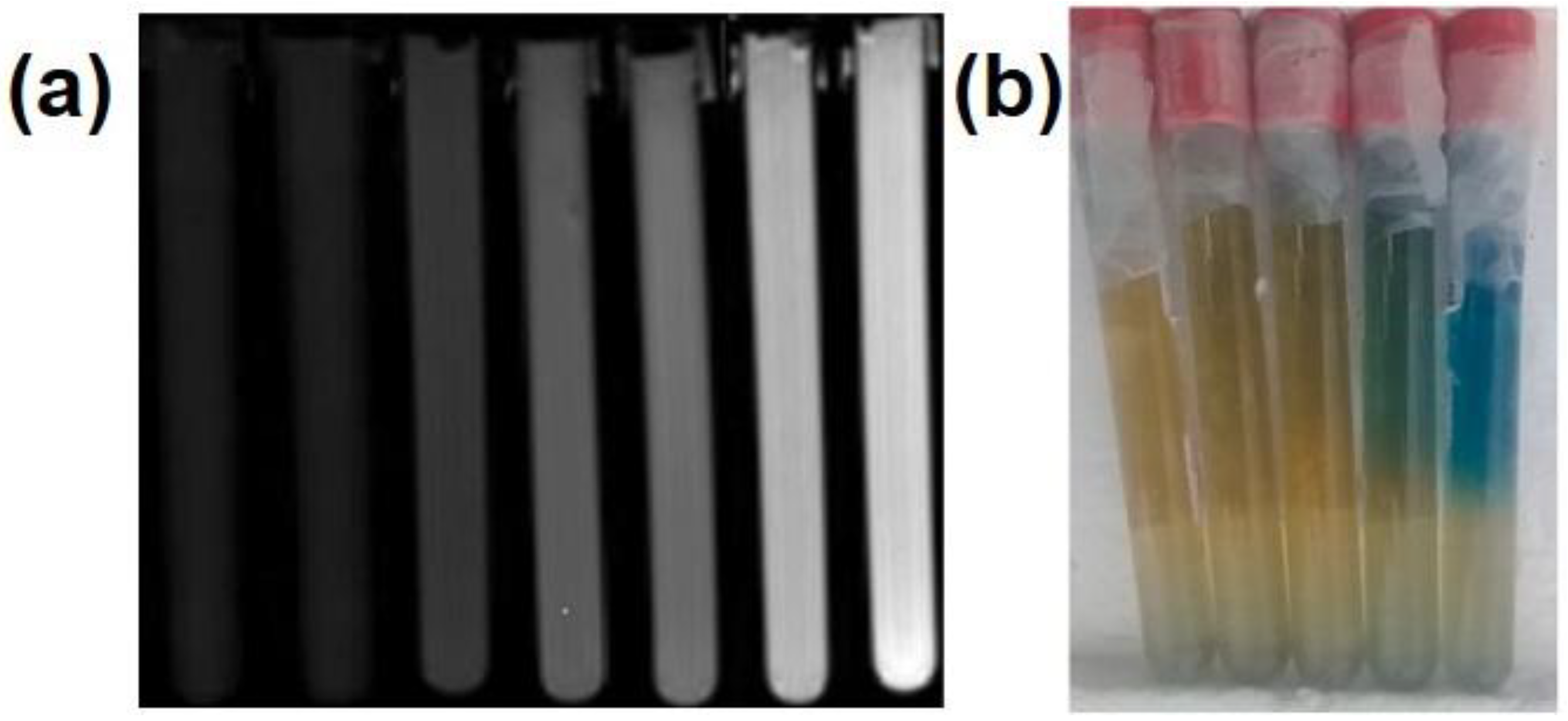Gels 08 00238 g004 550