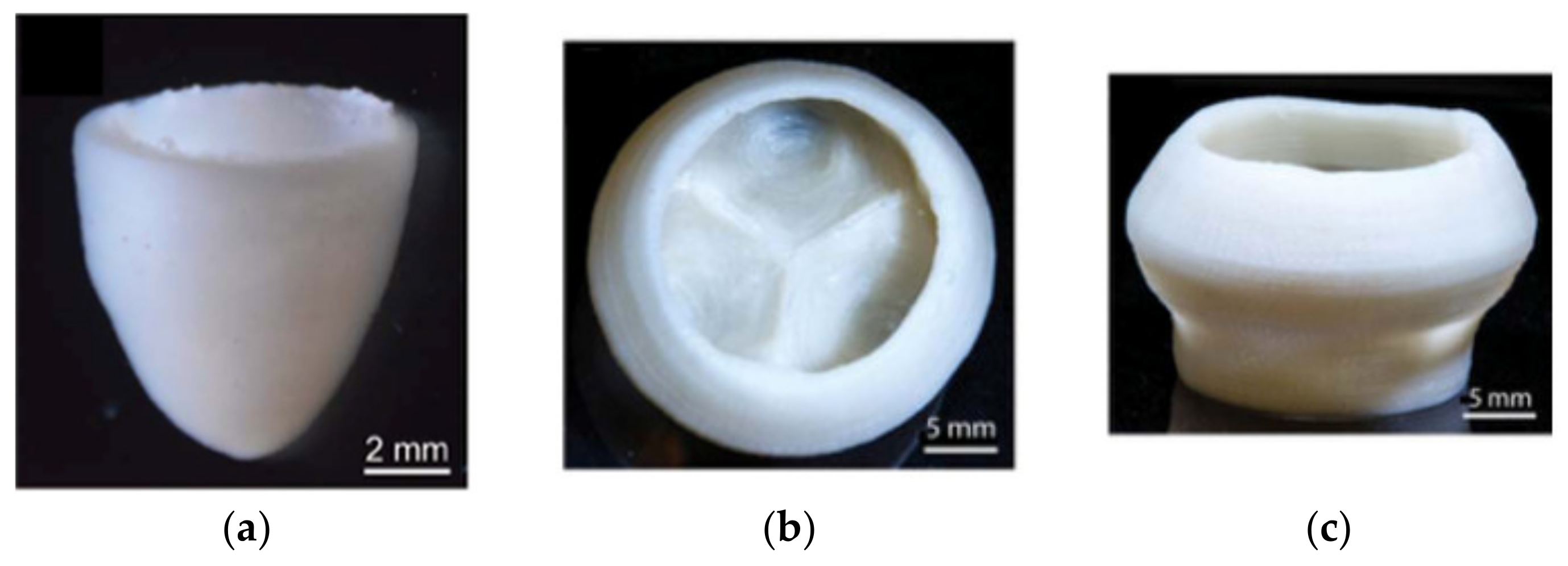 Gels 08 00239 g004 550