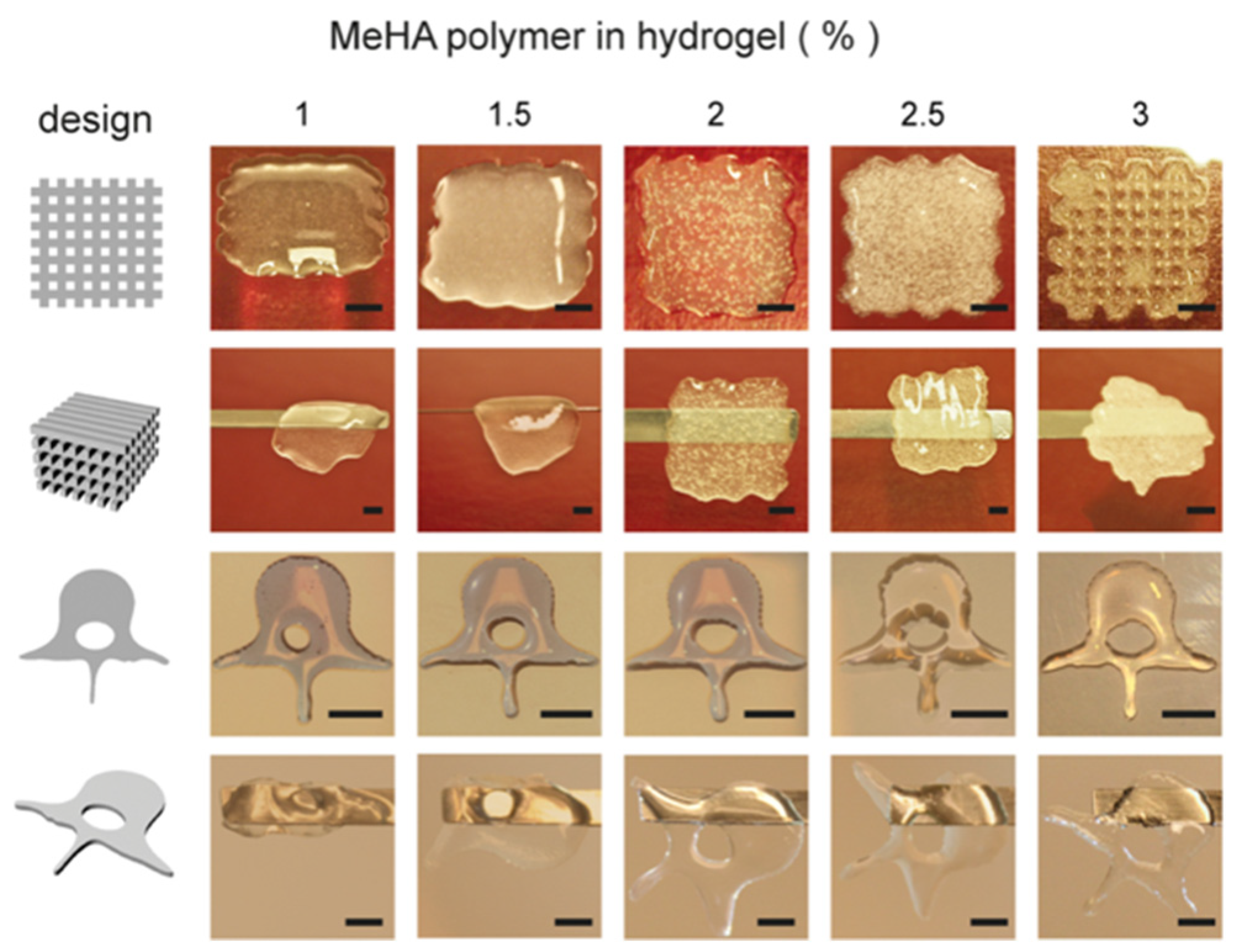 Gels 08 00239 g006 550