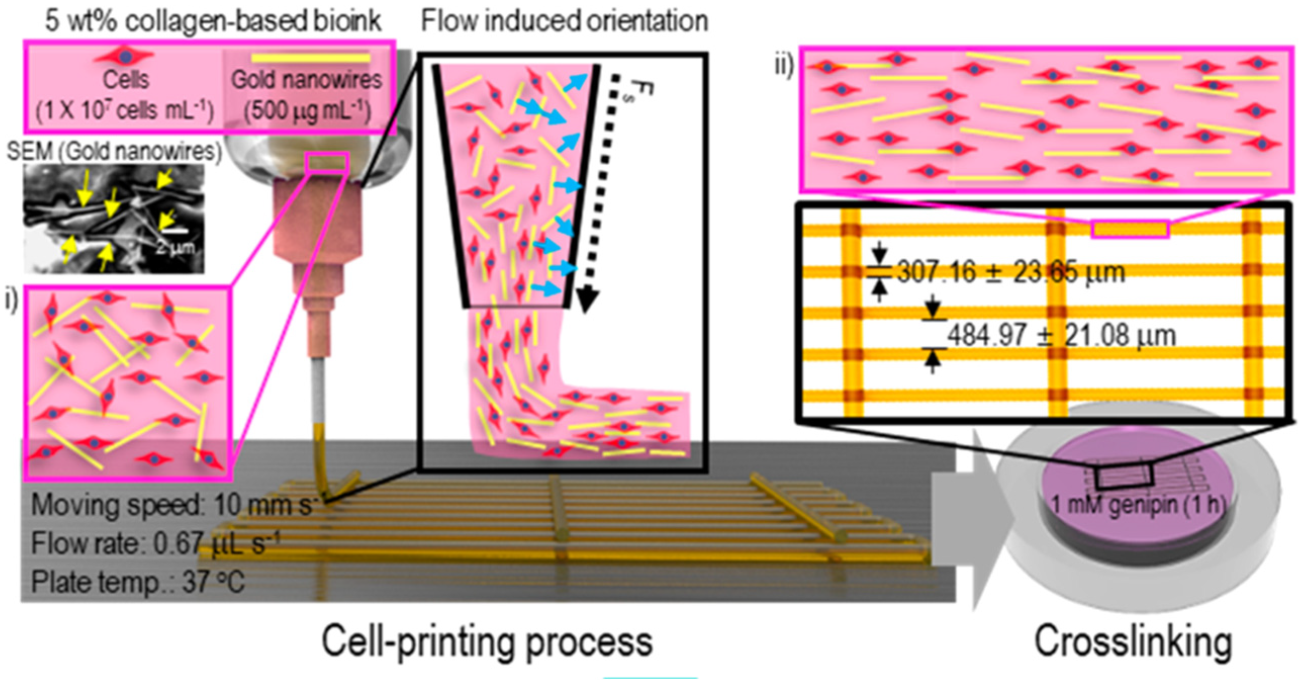 Gels 08 00239 g013 550