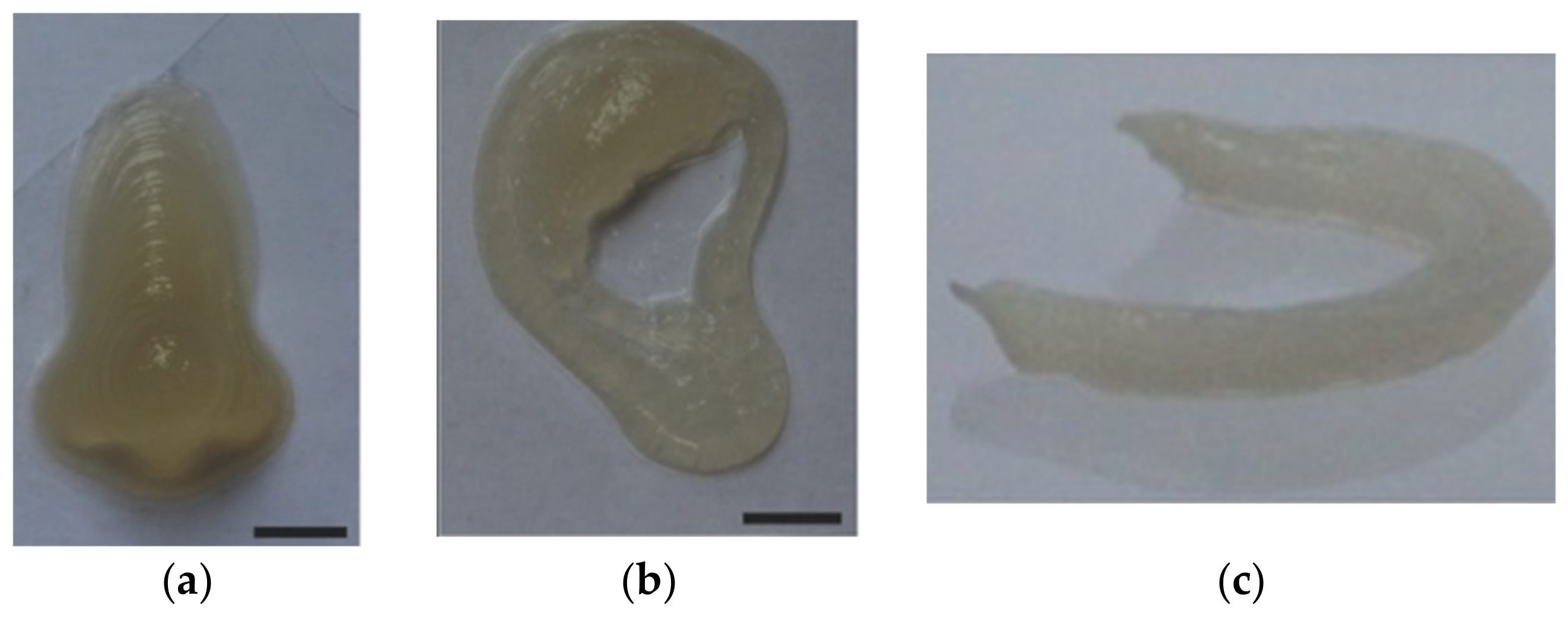 Gels 08 00239 g015 550