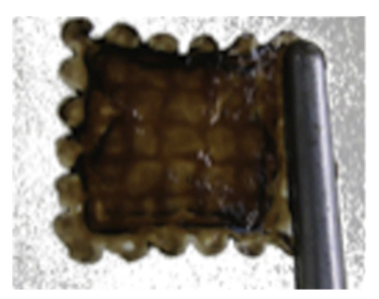 Gels 08 00239 g017 550