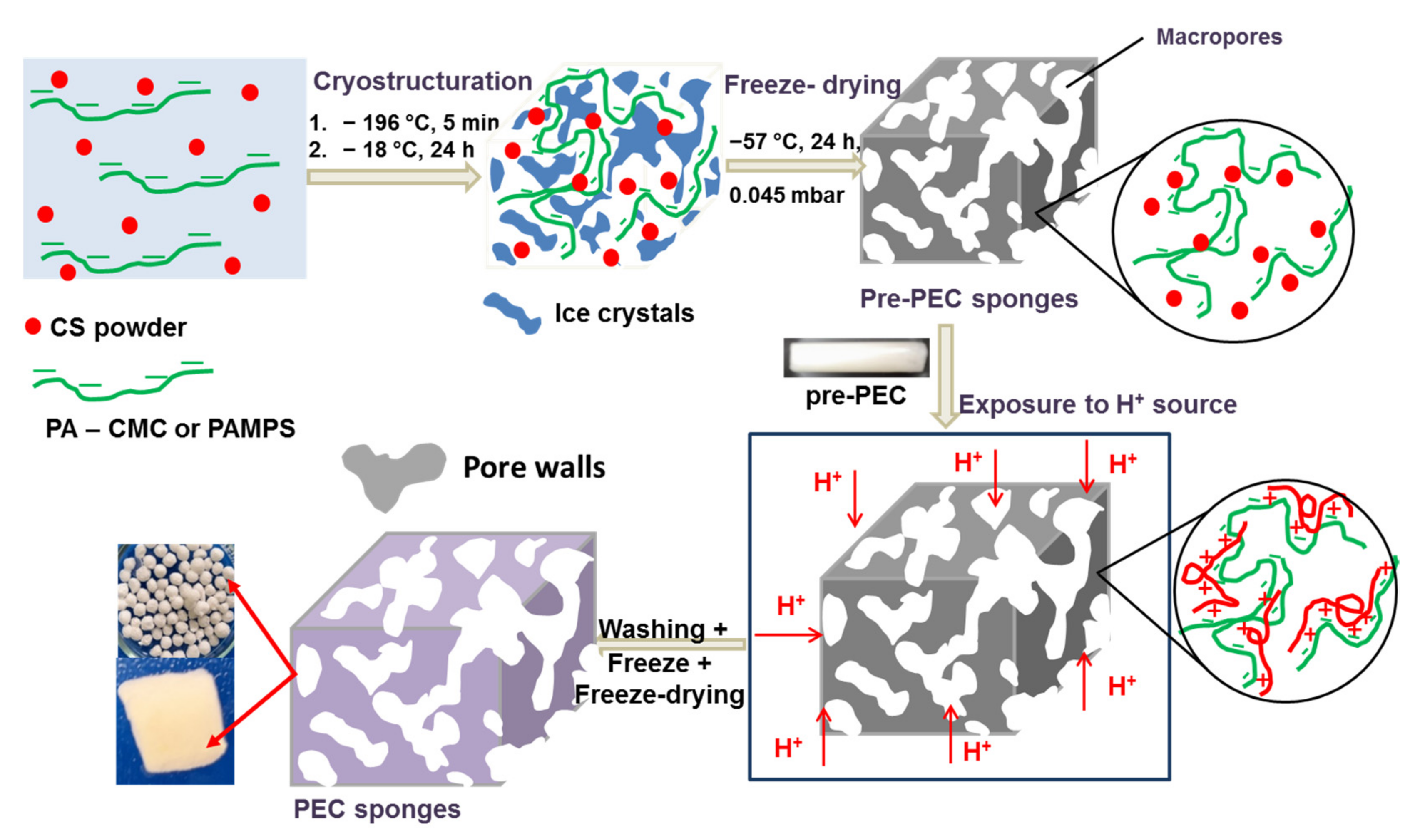 Gels 08 00240 g002 550