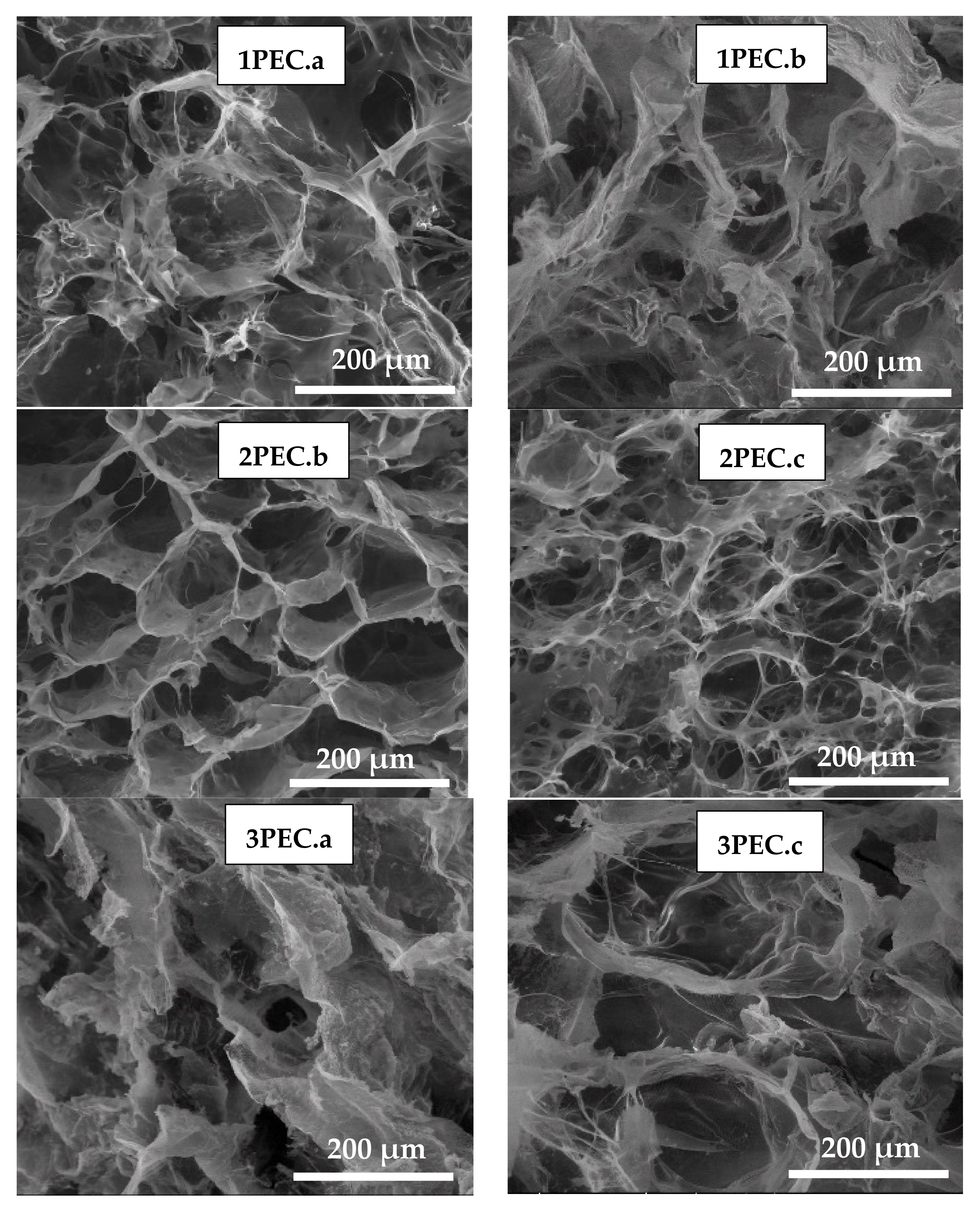 Gels 08 00240 g004 550