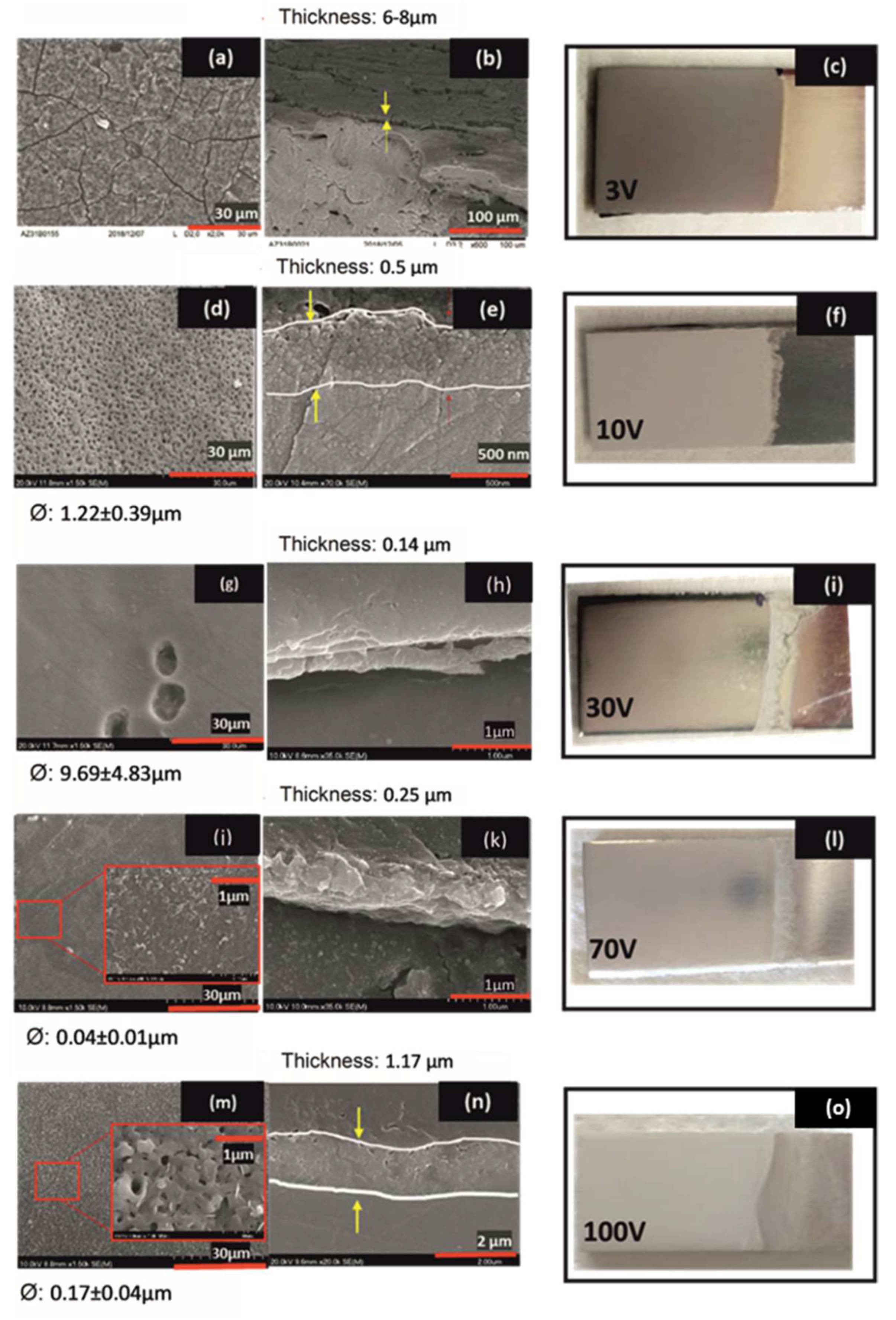 Gels 08 00242 g002 550