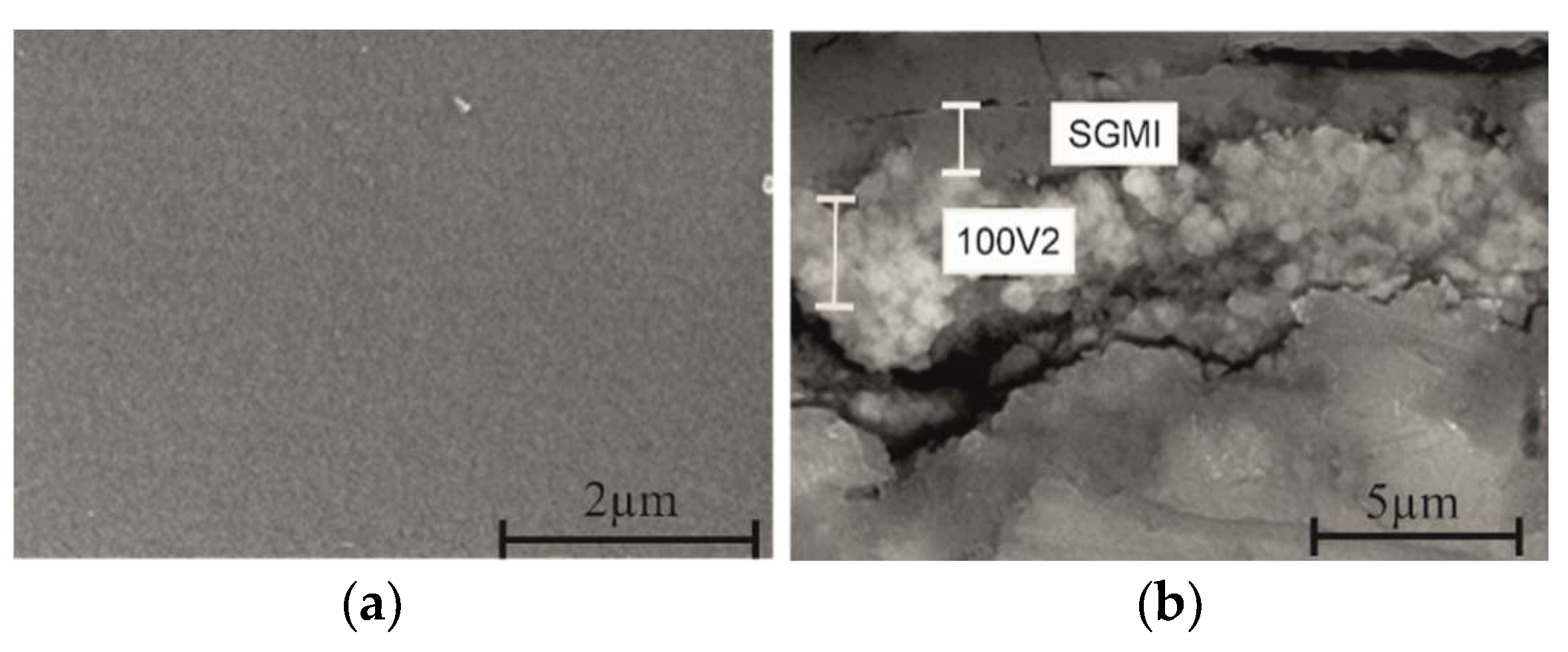 Gels 08 00242 g006 550