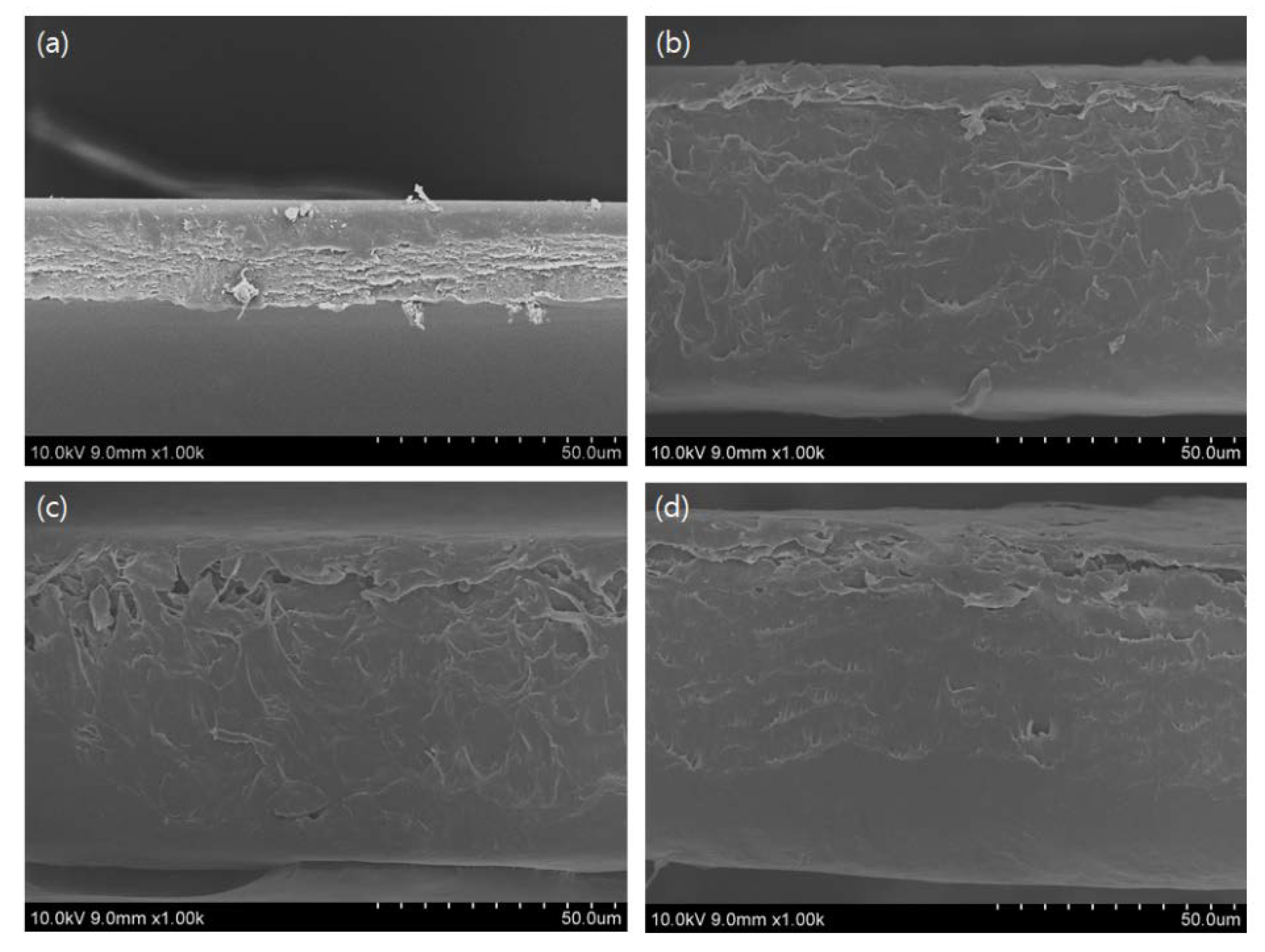 Gels 08 00248 g007 550