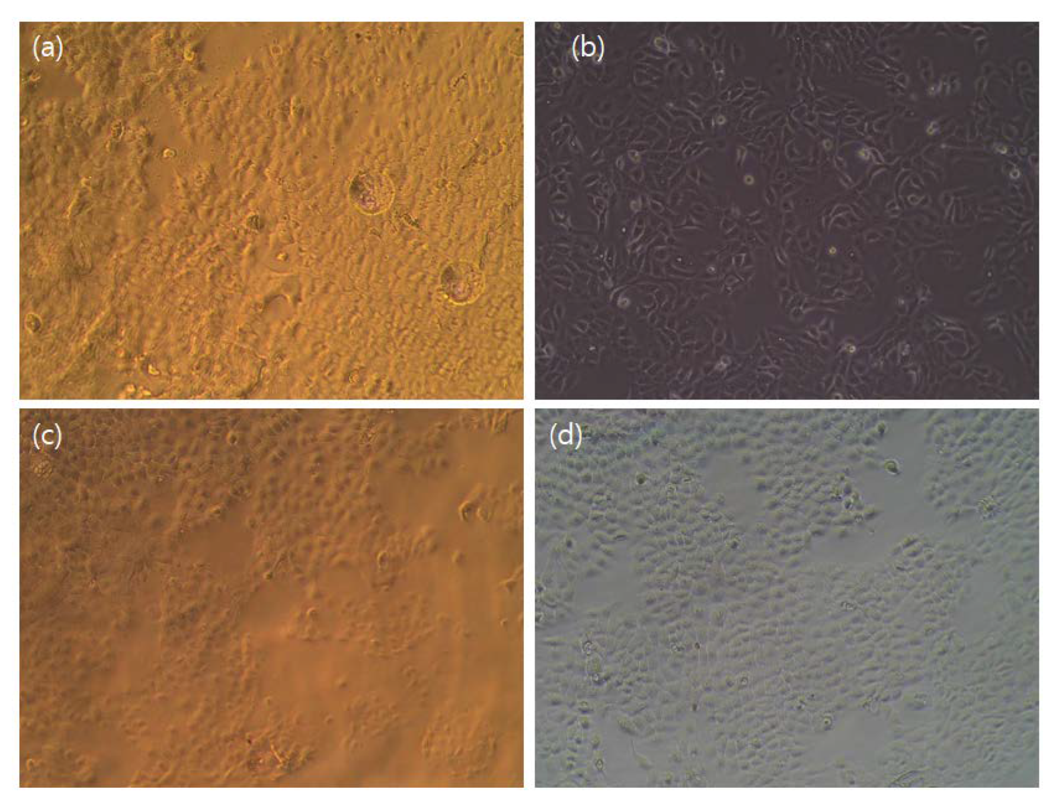 Gels 08 00248 g010 550