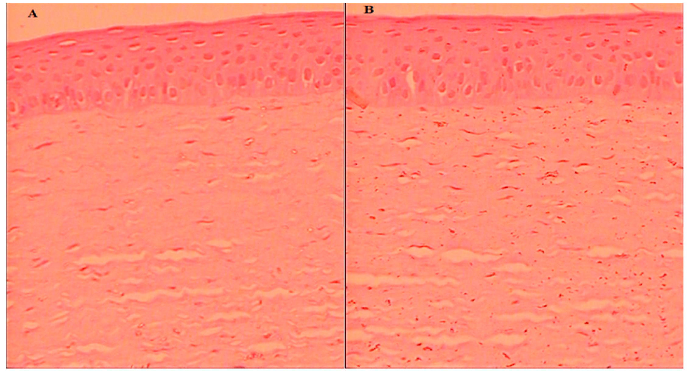 Gels 08 00255 g007 550