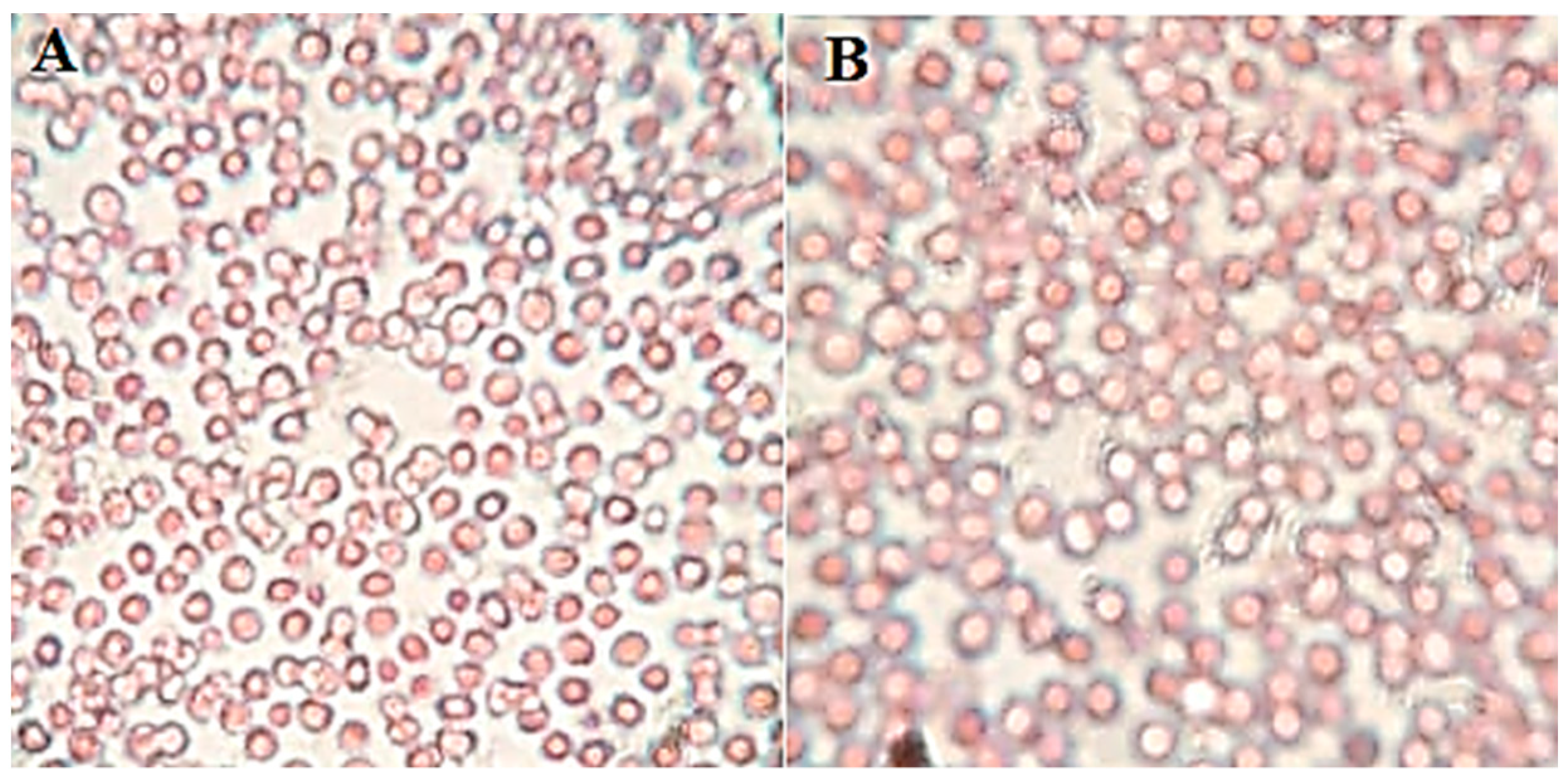 Gels 08 00255 g009 550