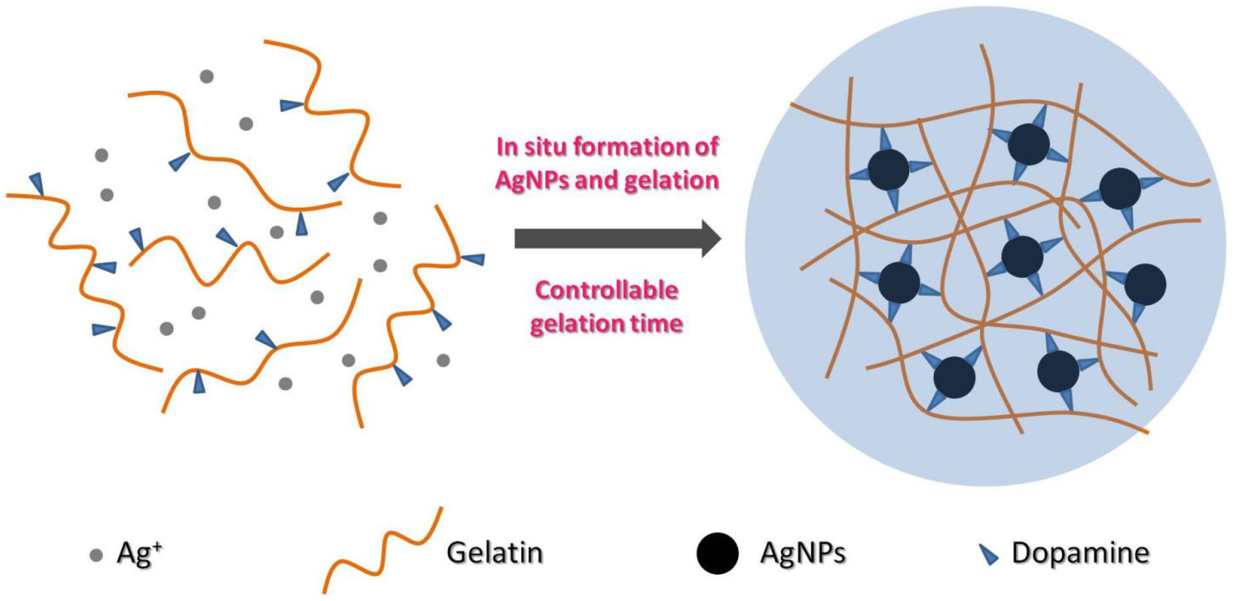 Gels 08 00256 sch001 550