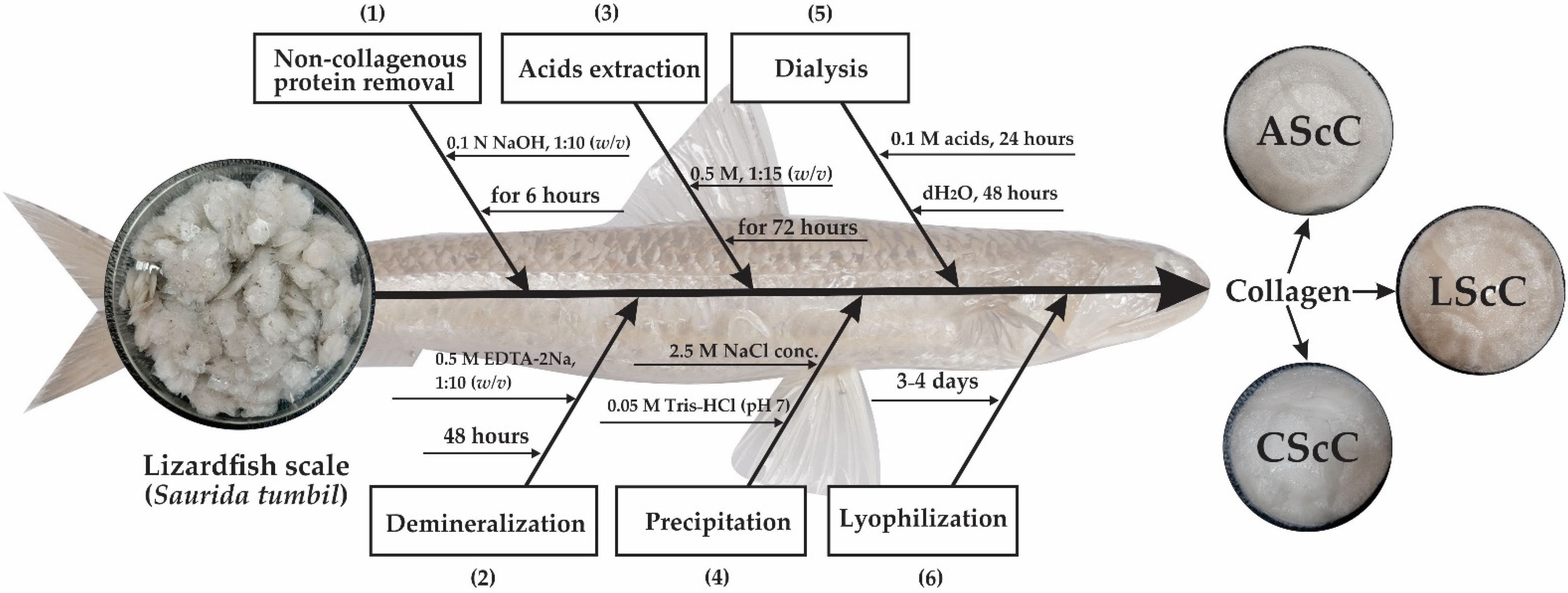 Gels 08 00266 g008 550