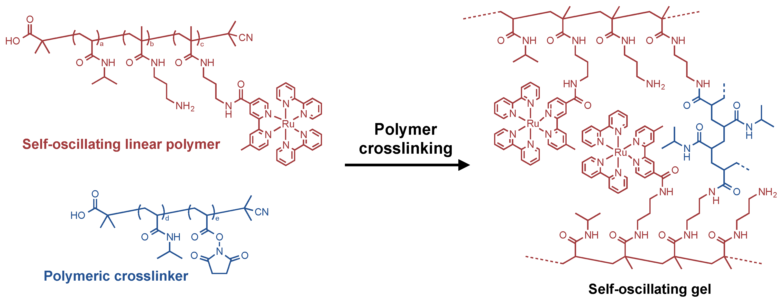 Gels 08 00267 g001 550