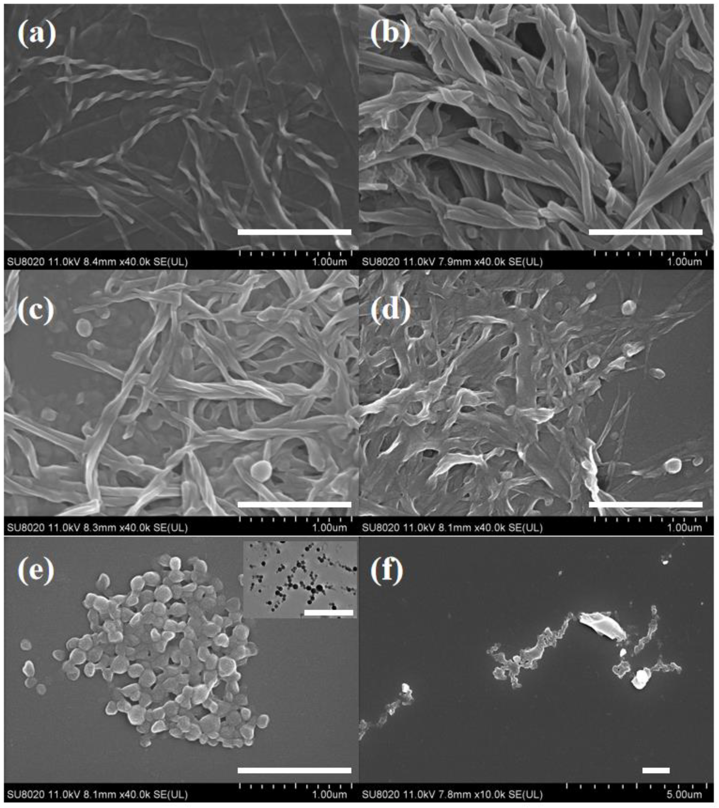 Gels 08 00269 g002 550