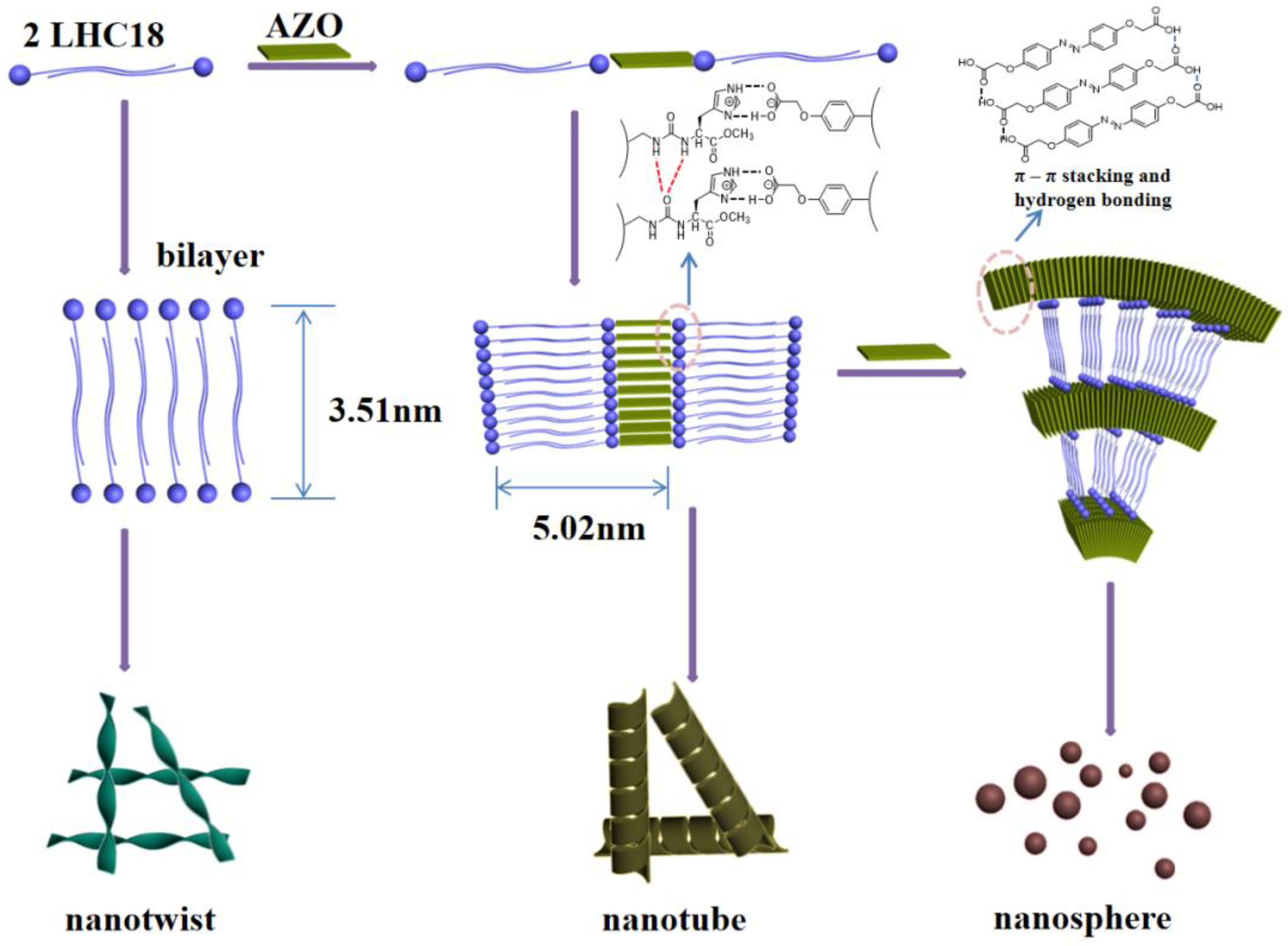 Gels 08 00269 g006 550