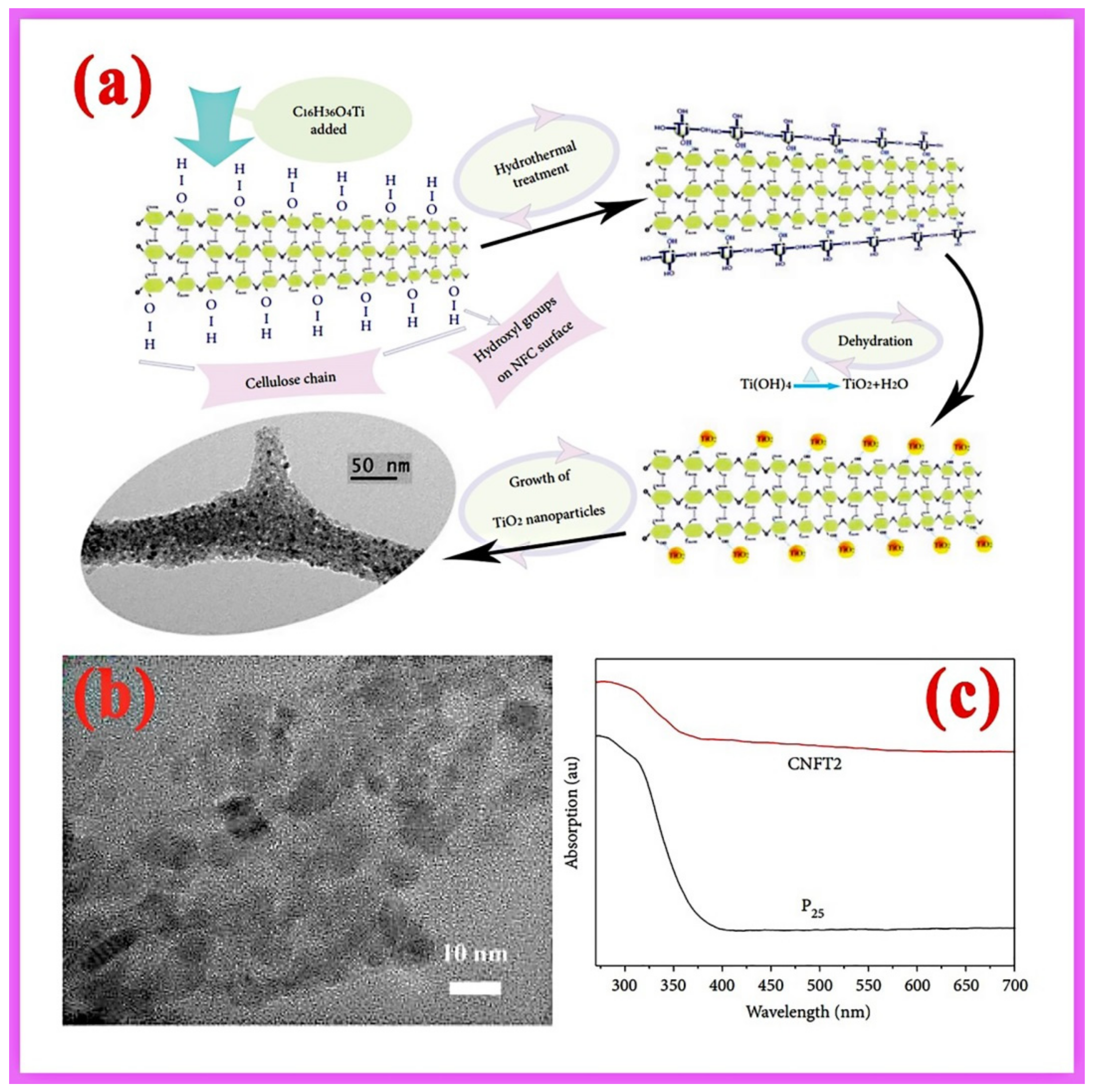 Recent Progress of Cellulose-Based Hydrogel Photocatalysts