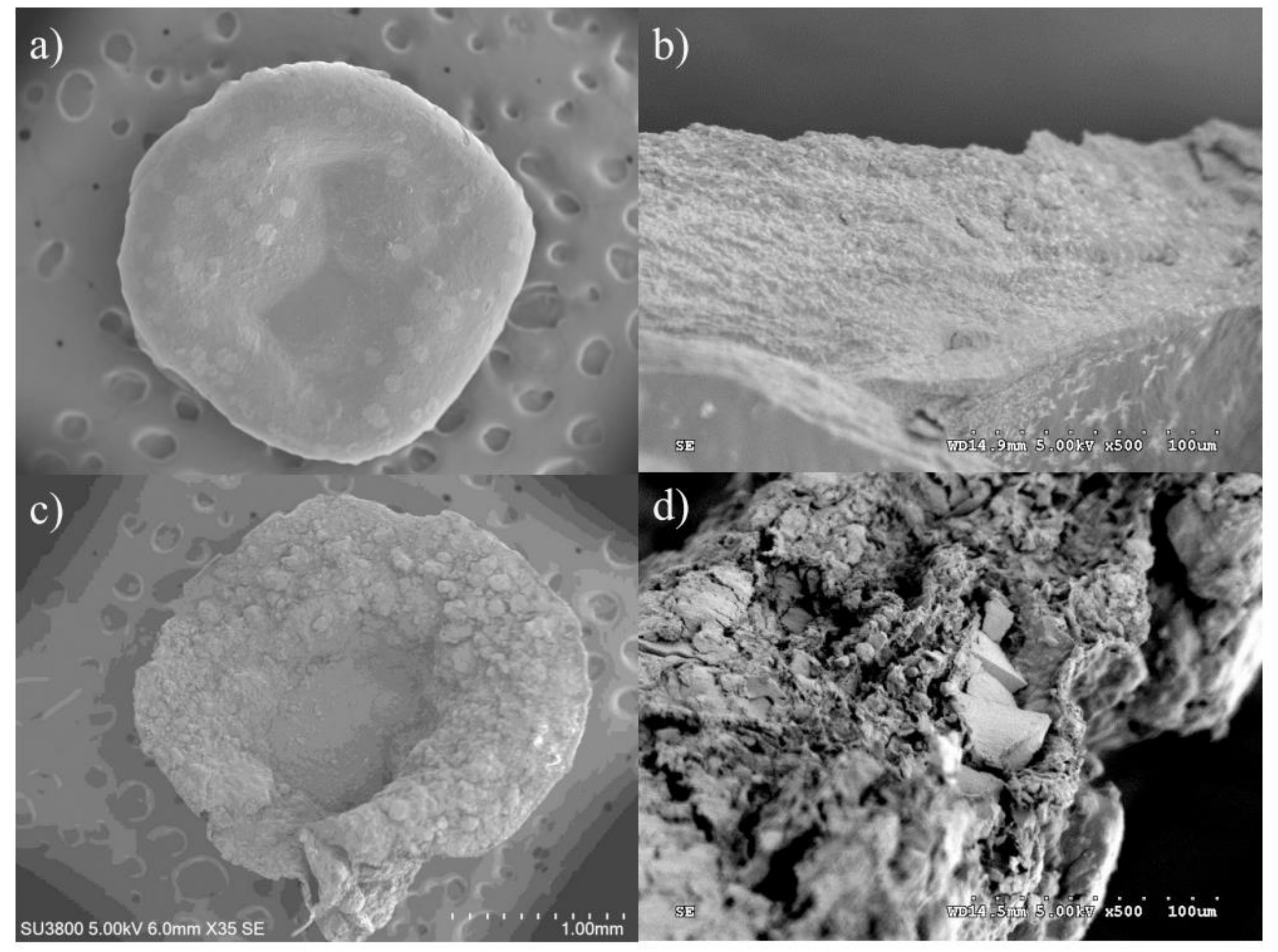 Gels 08 00274 g001 550