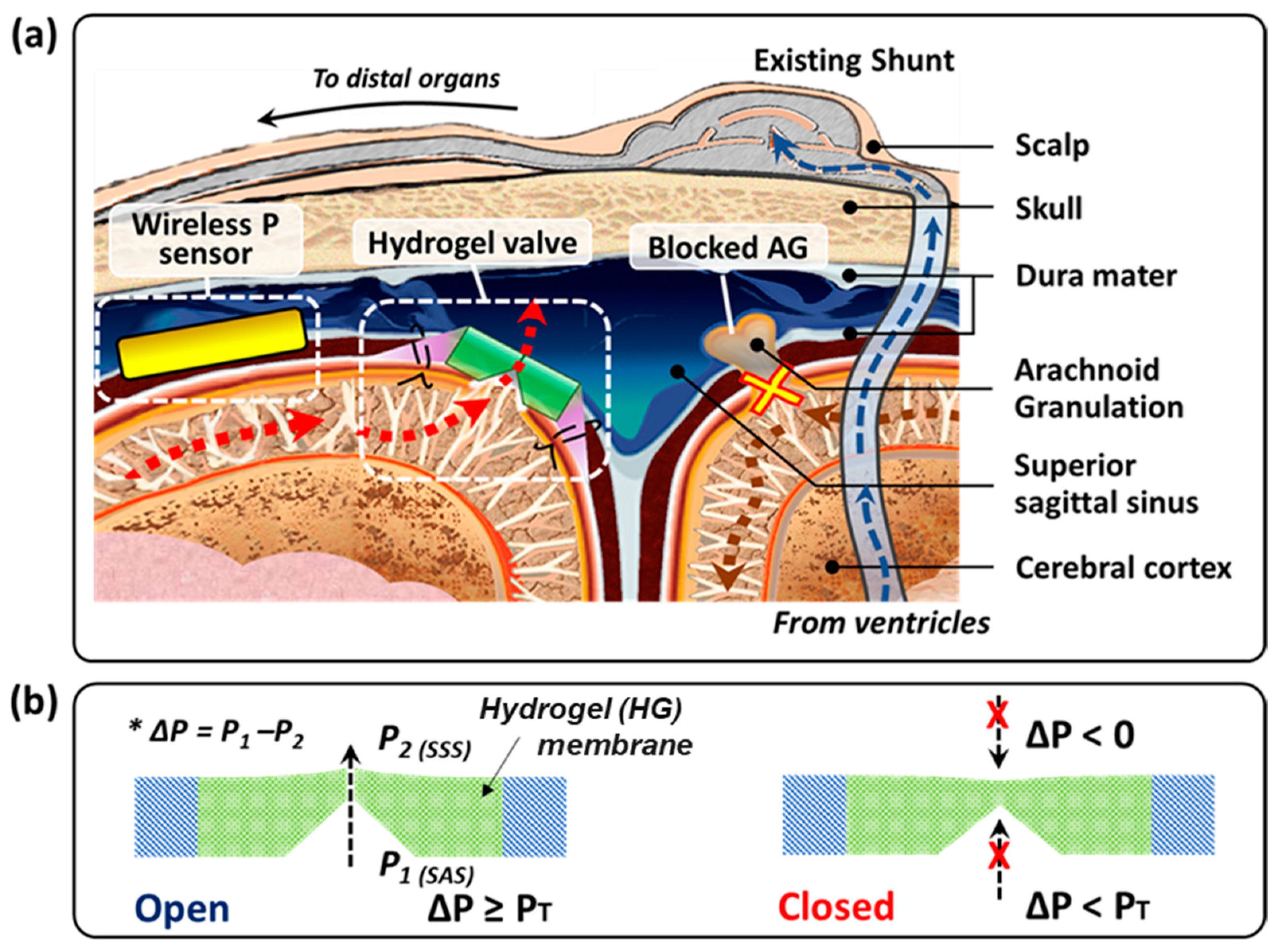 Gels 08 00276 g001 Gels 08 00276 g001