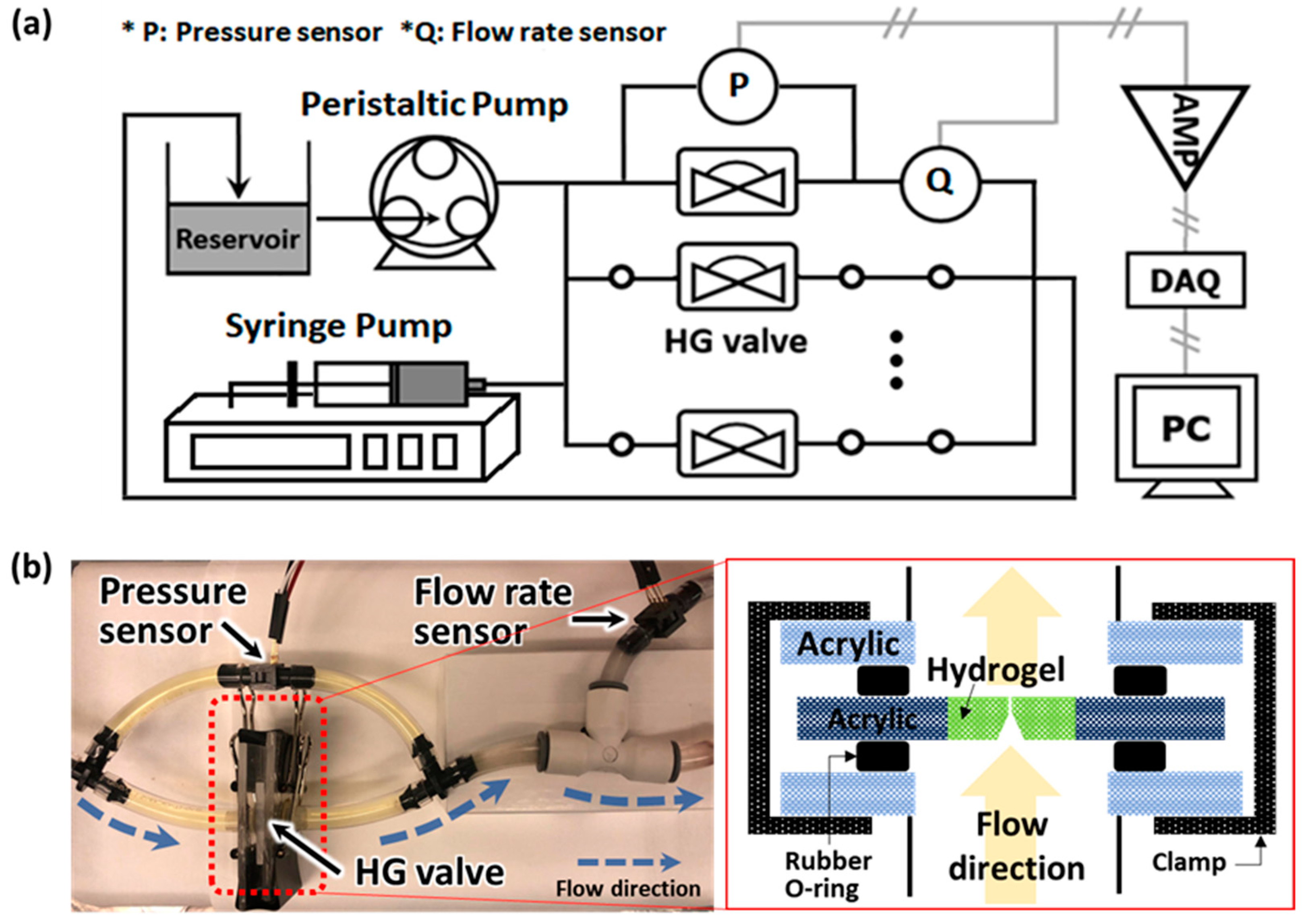 Gels 08 00276 g002 Gels 08 00276 g002
