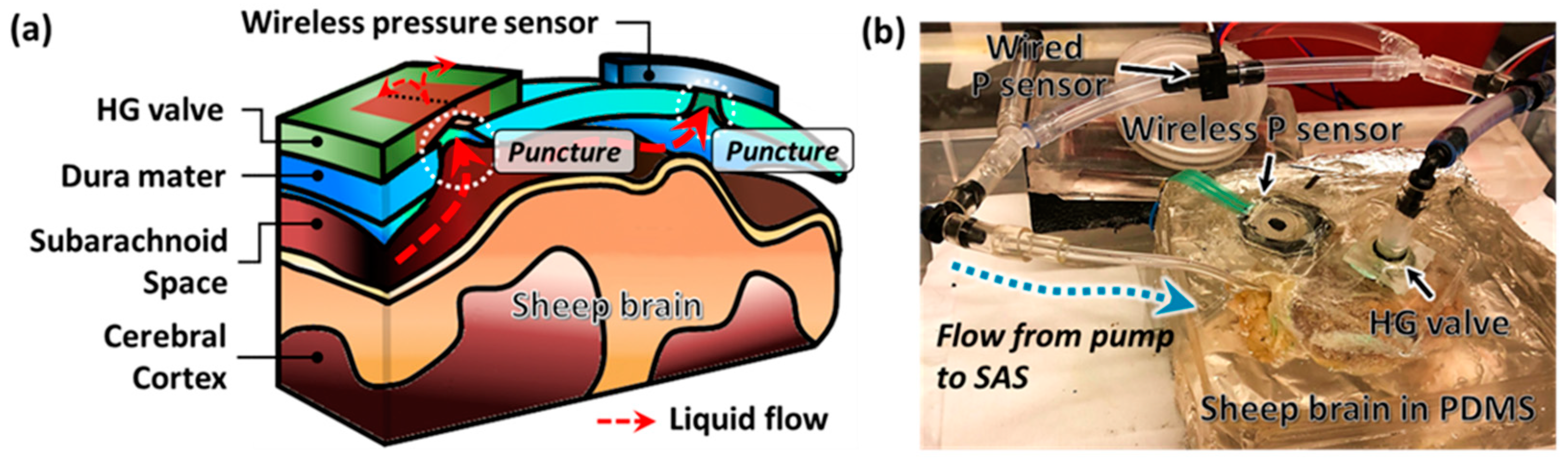 Gels 08 00276 g003 Gels 08 00276 g003